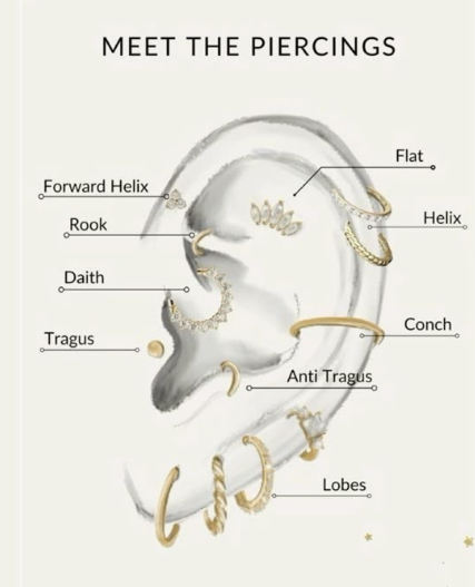 Screenshot 2025-09-22 085542.png