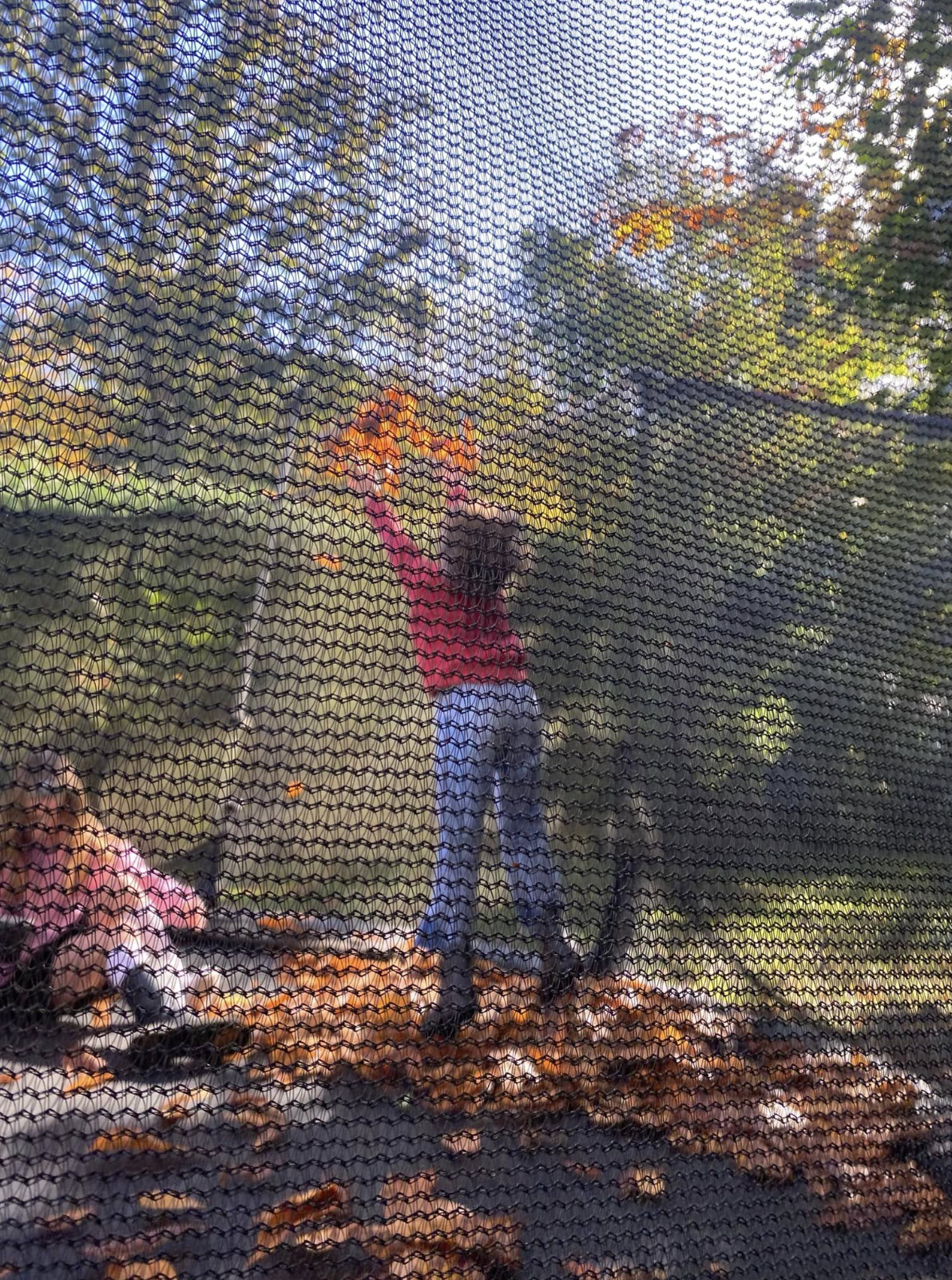 Screenshot 2026-01-05 at 11.35.30.png