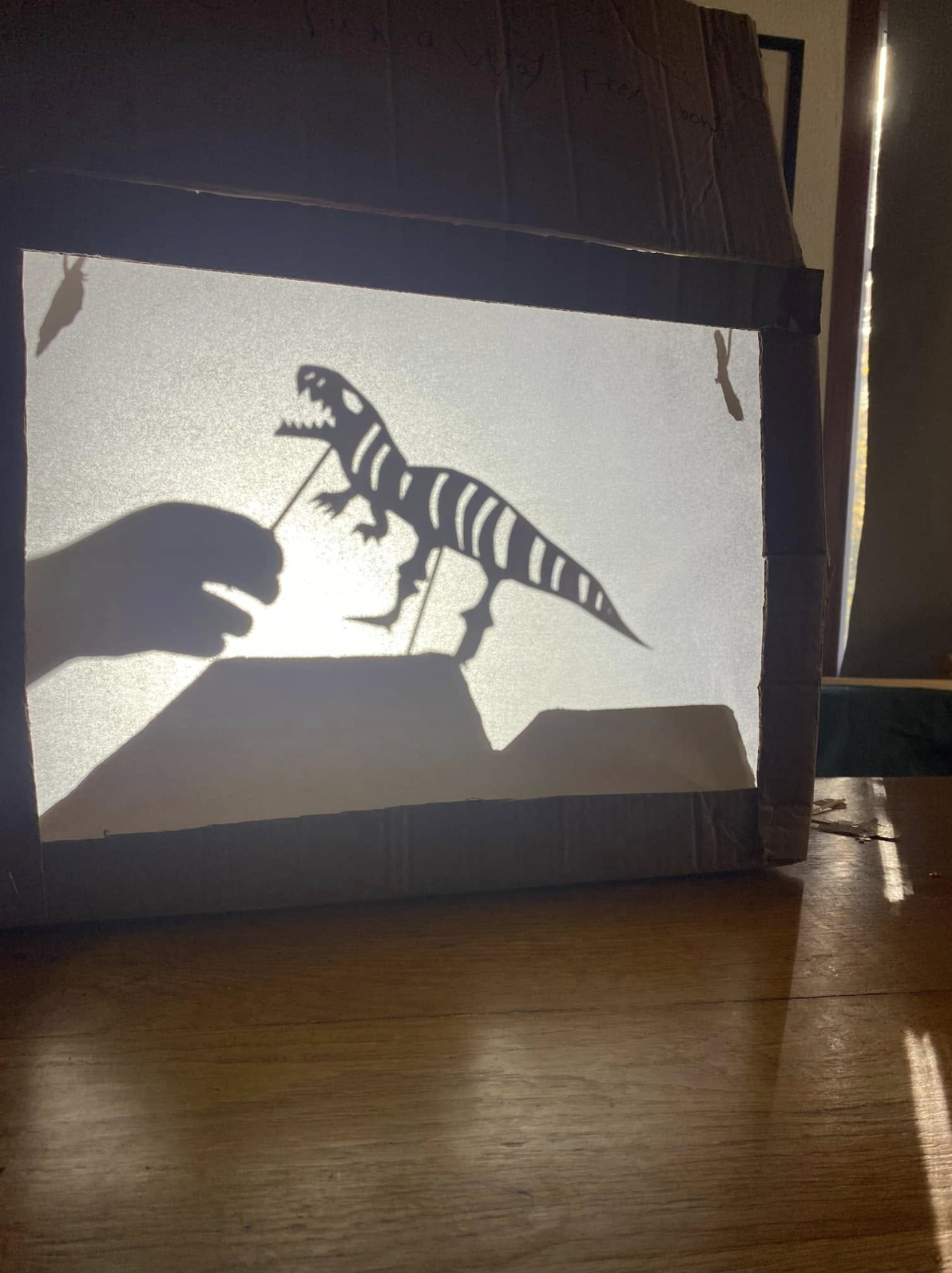 Shadow puppetry