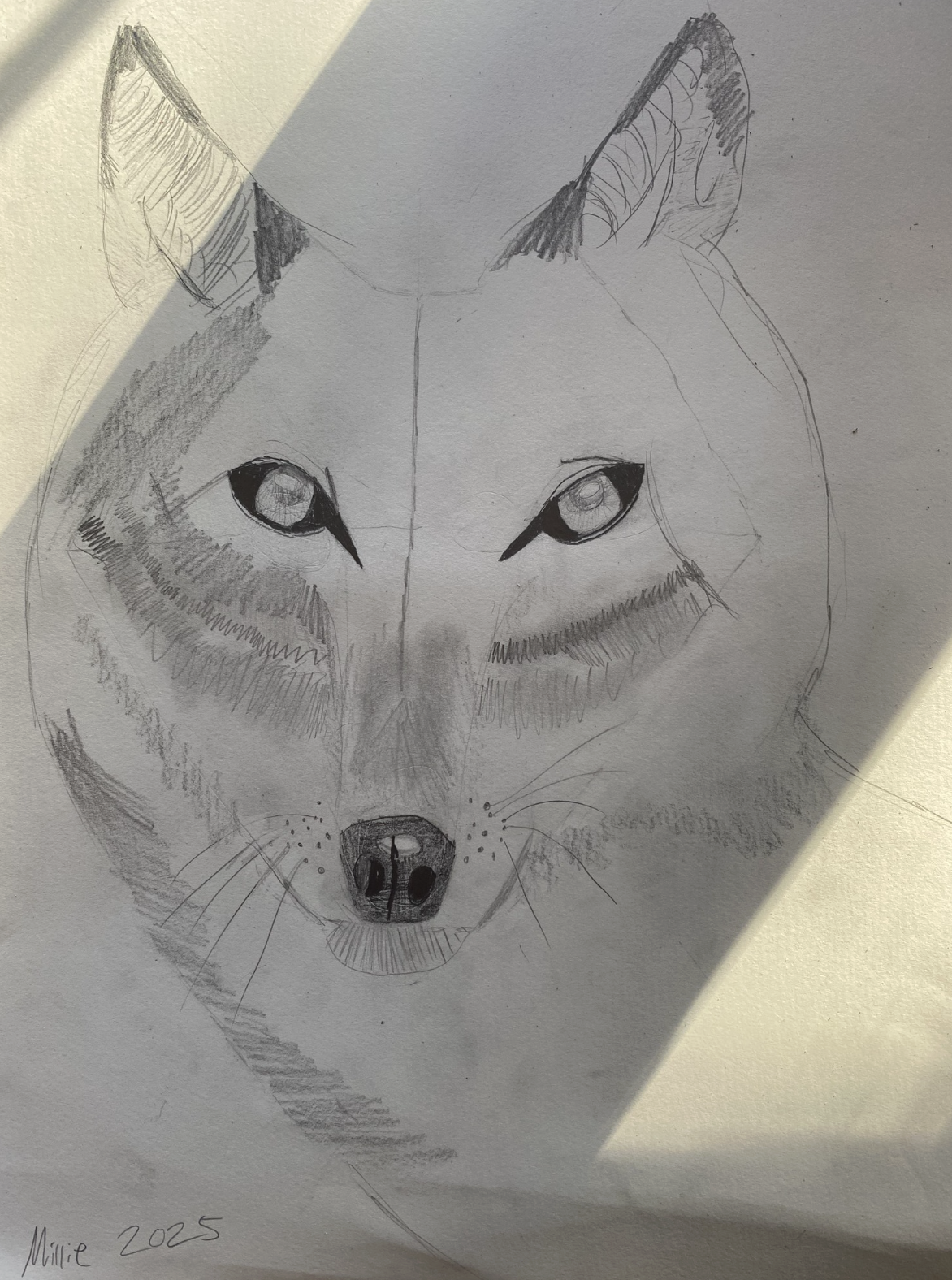 Screenshot 2026-01-05 at 12.57.23.png