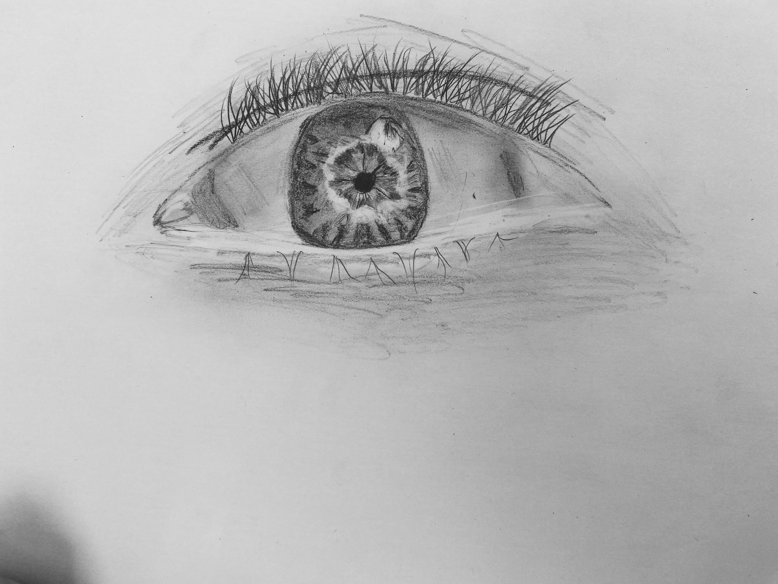 FullSizeRender 4.jpg