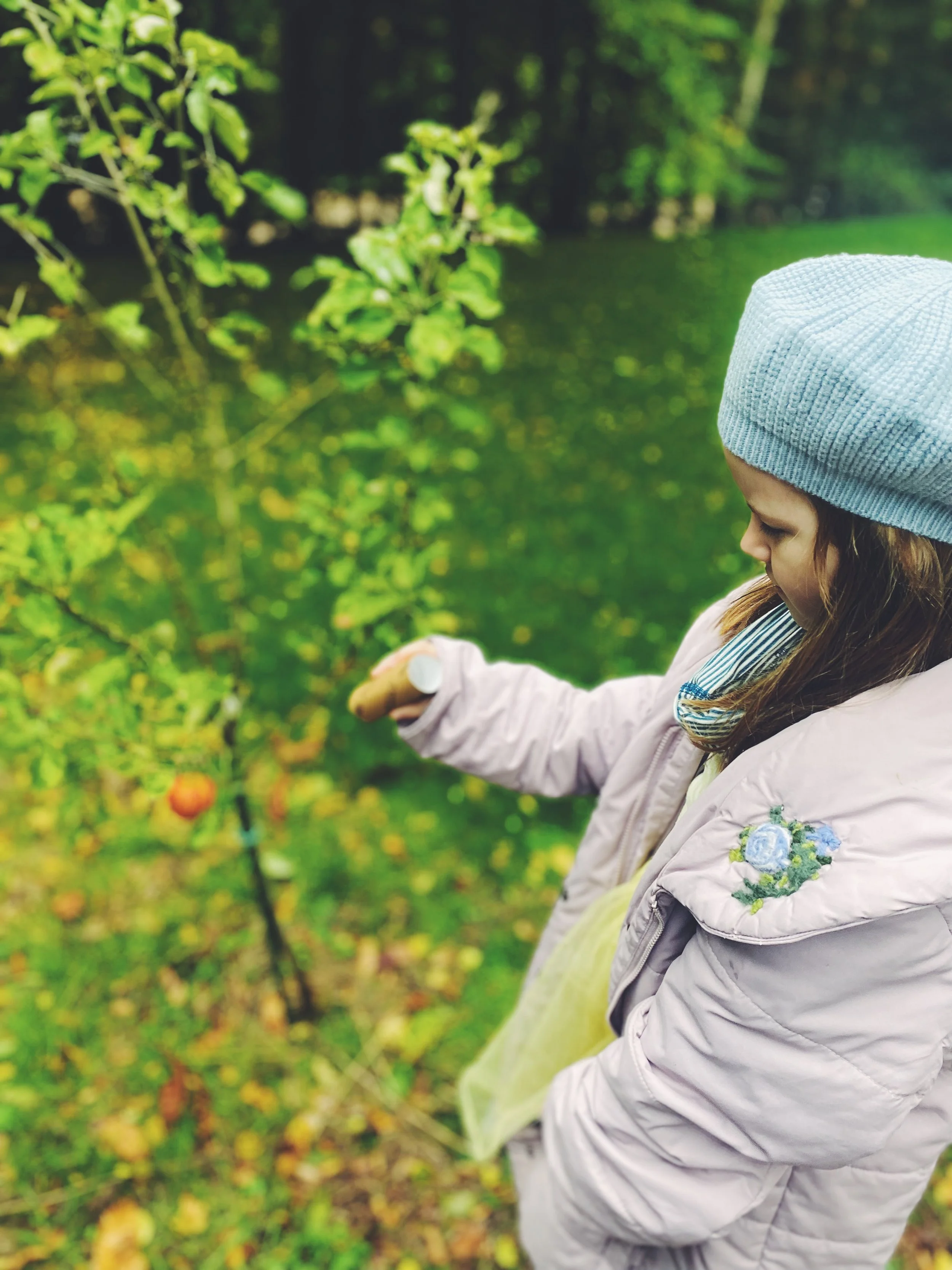 FullSizeRender 7.jpg