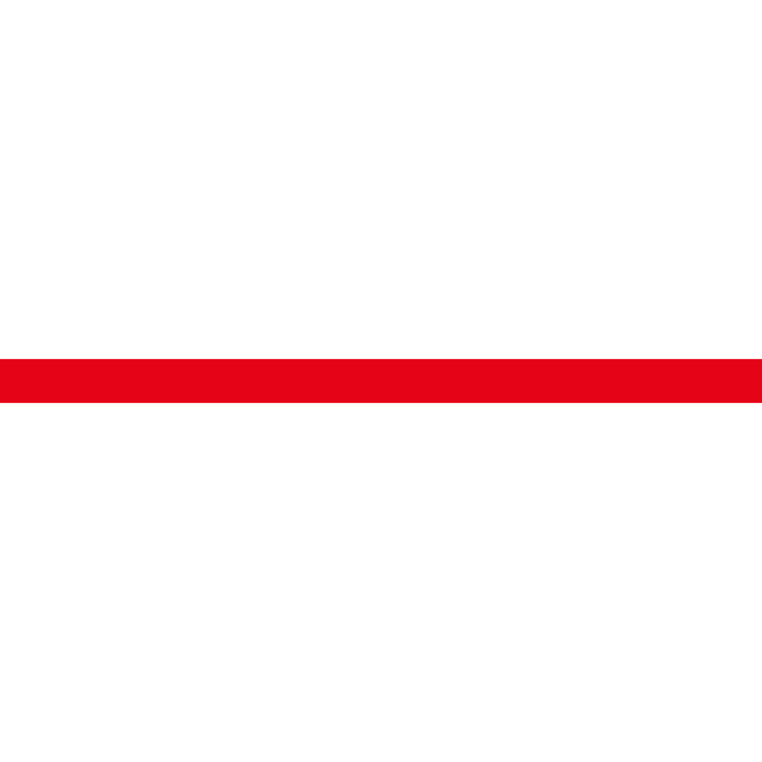 Short red horizontal line used as a design accent or divider.