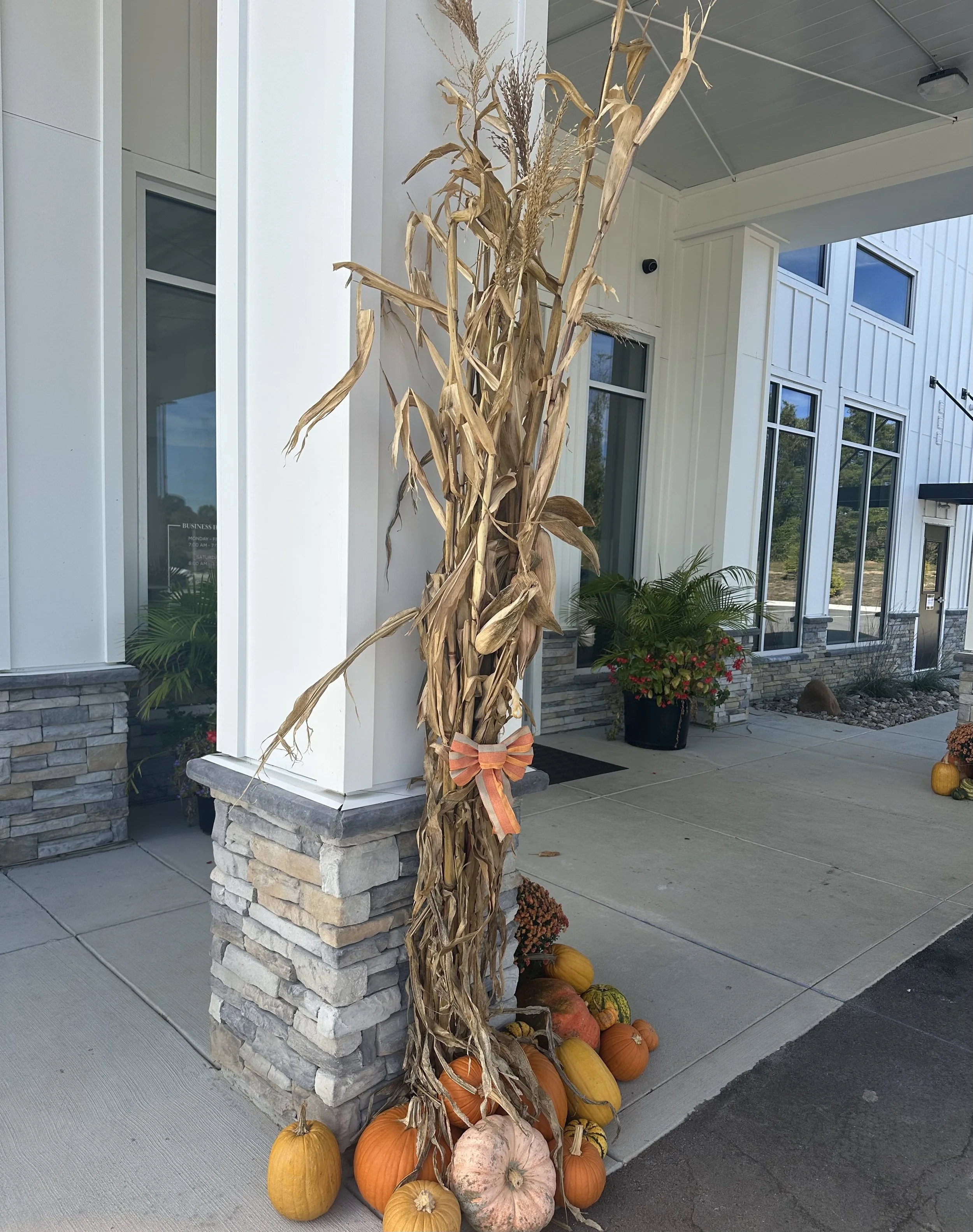 Cornstalk Add-On