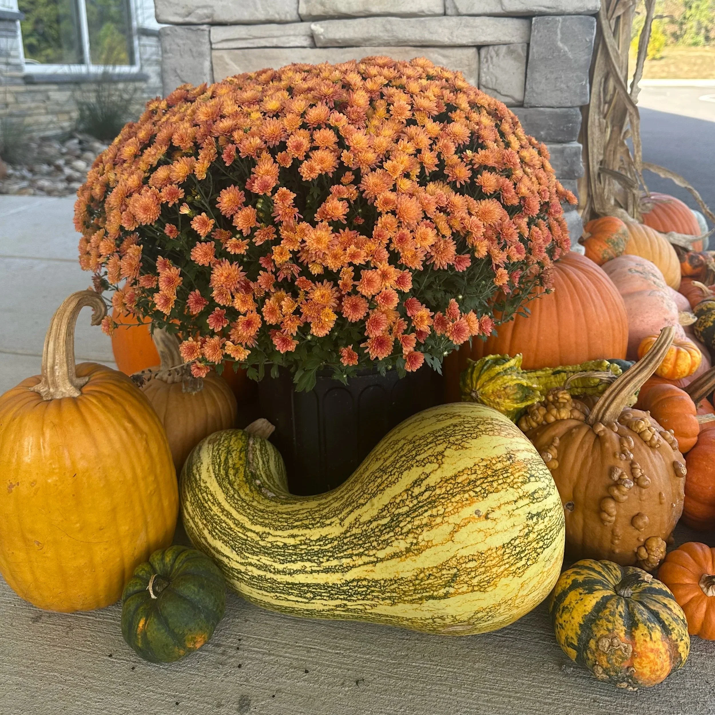 Mum Add-On