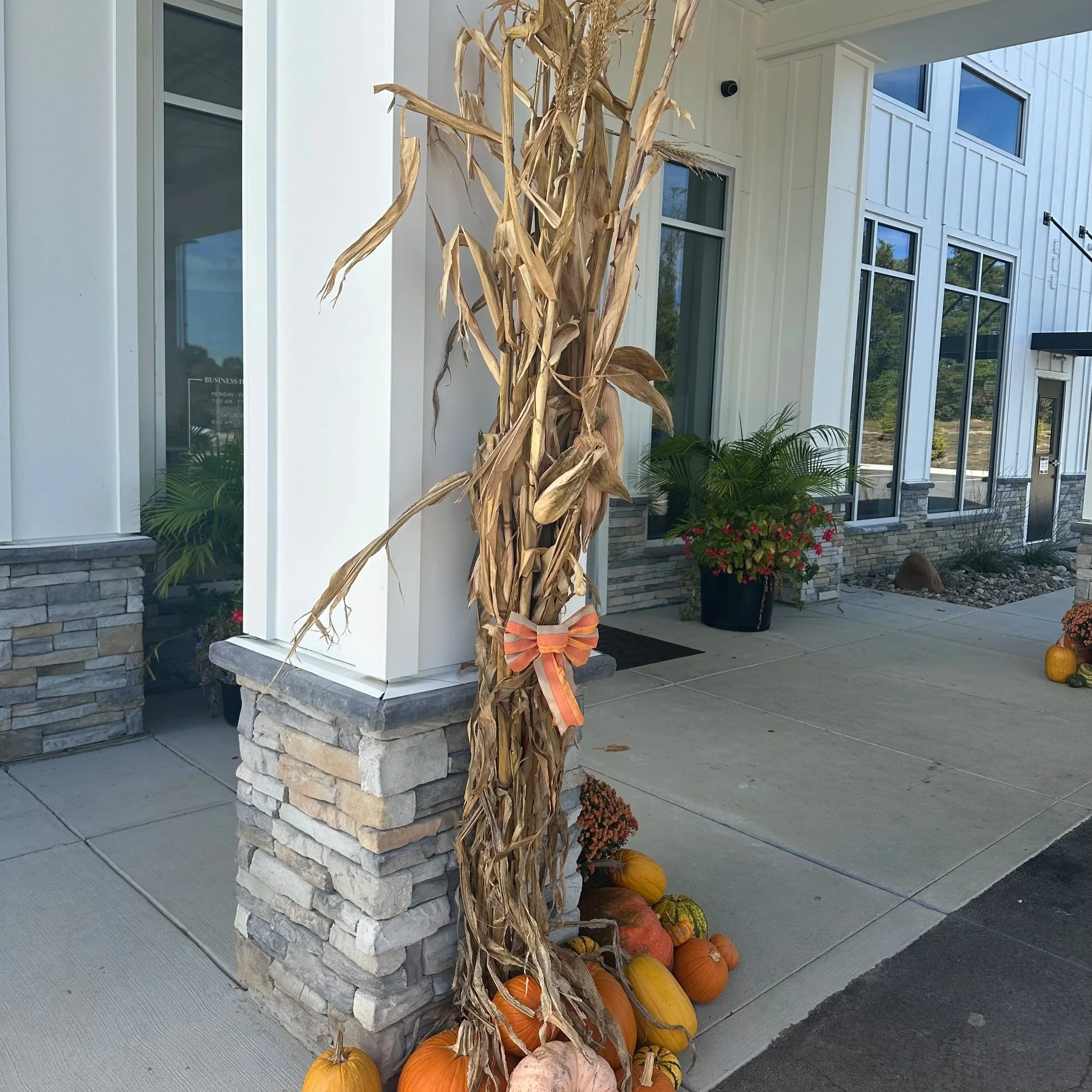 corn.jpg