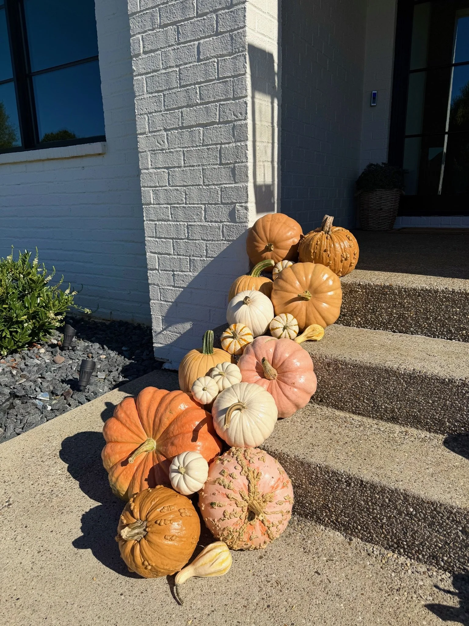 Pumpkin porch delivery and setup in Louisville KY