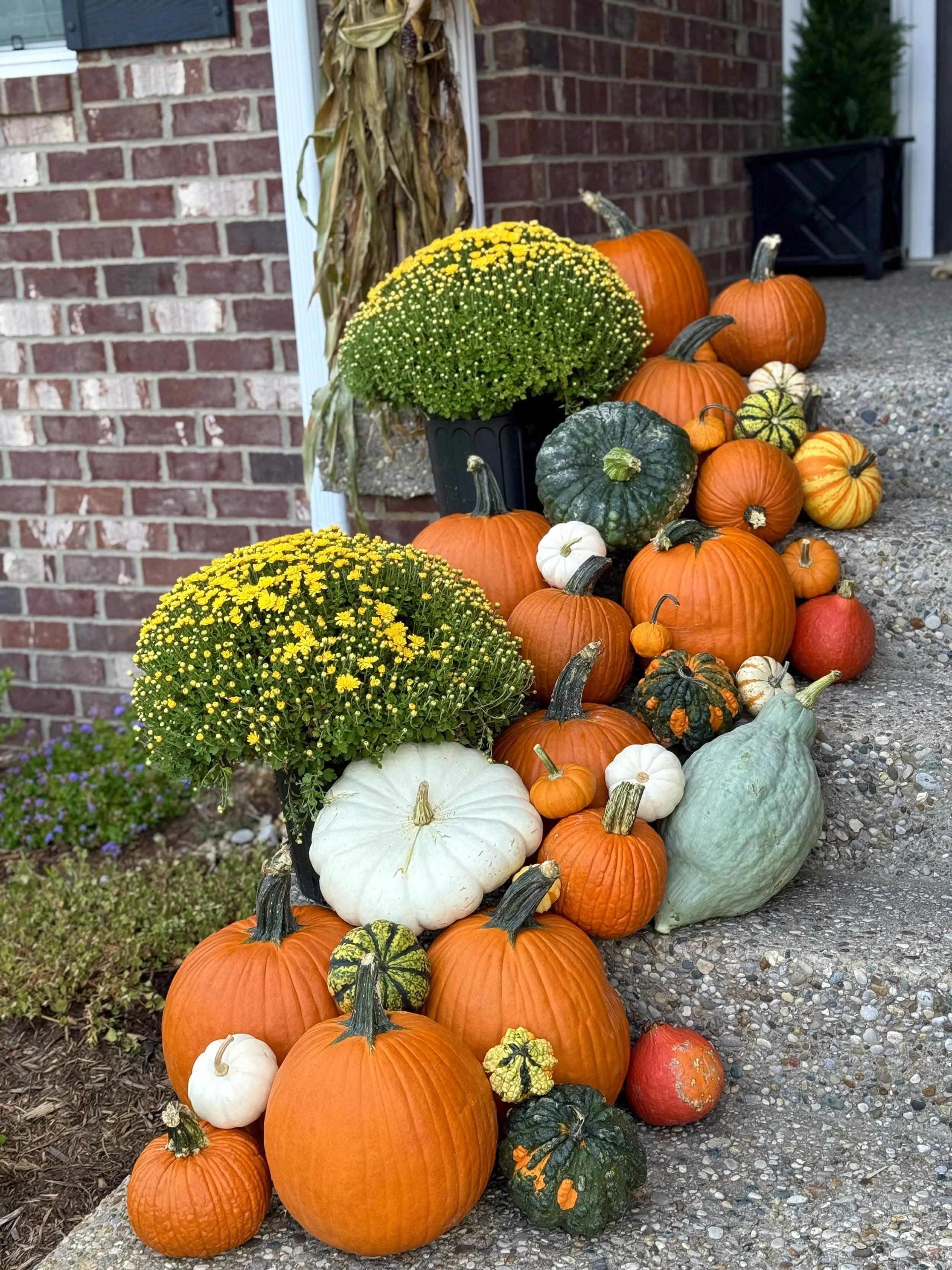 Beautiful pumpkin porch display at Louisville Kentucky home