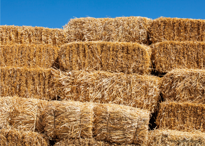 Straw Bale Add-On