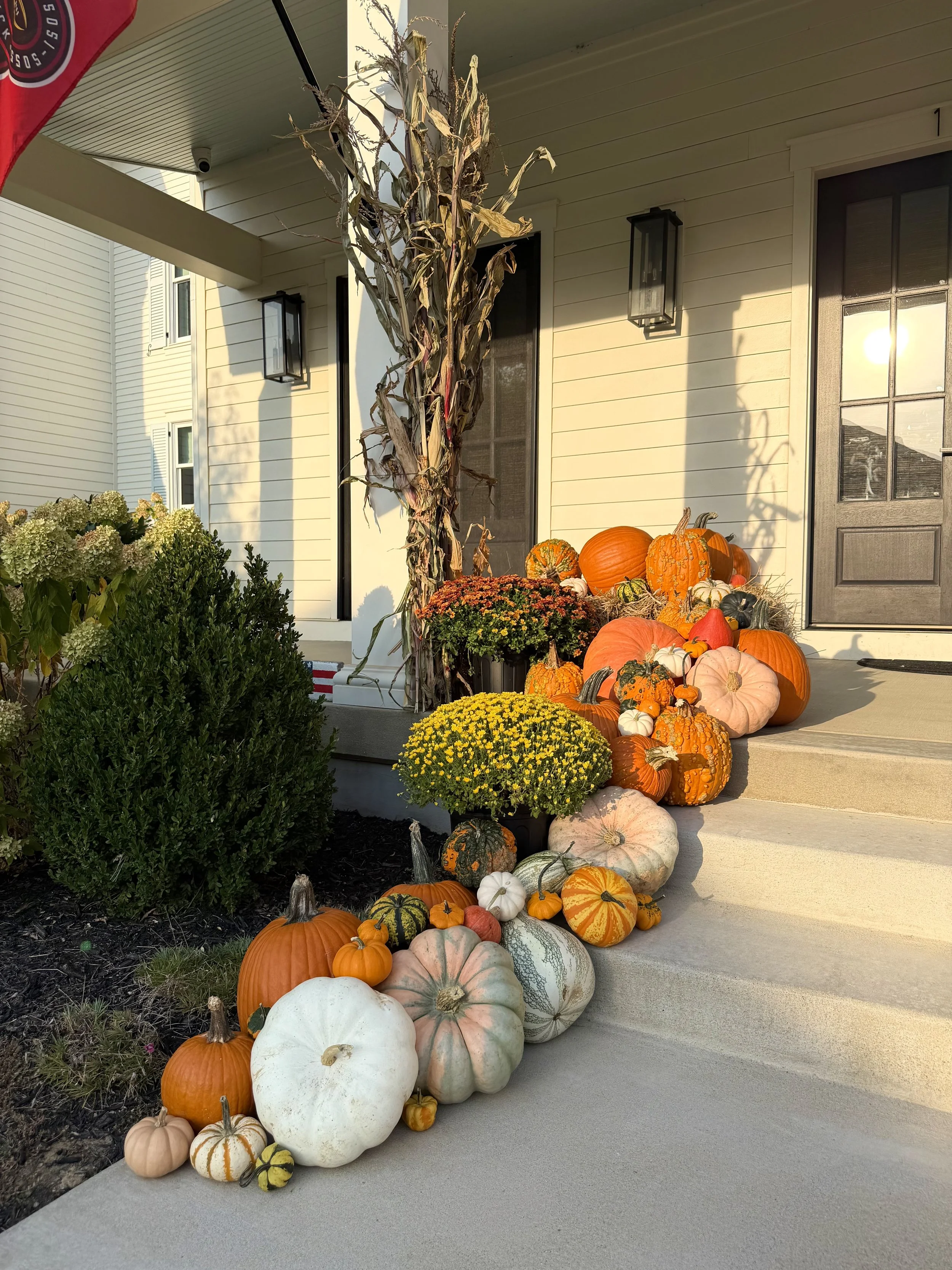 A collection of pumpkins and gourds of various sizes, shapes, and colors arranged on the steps of a porch, with some dried decorative corn stalks and plants nearby, in front of a house during fall.