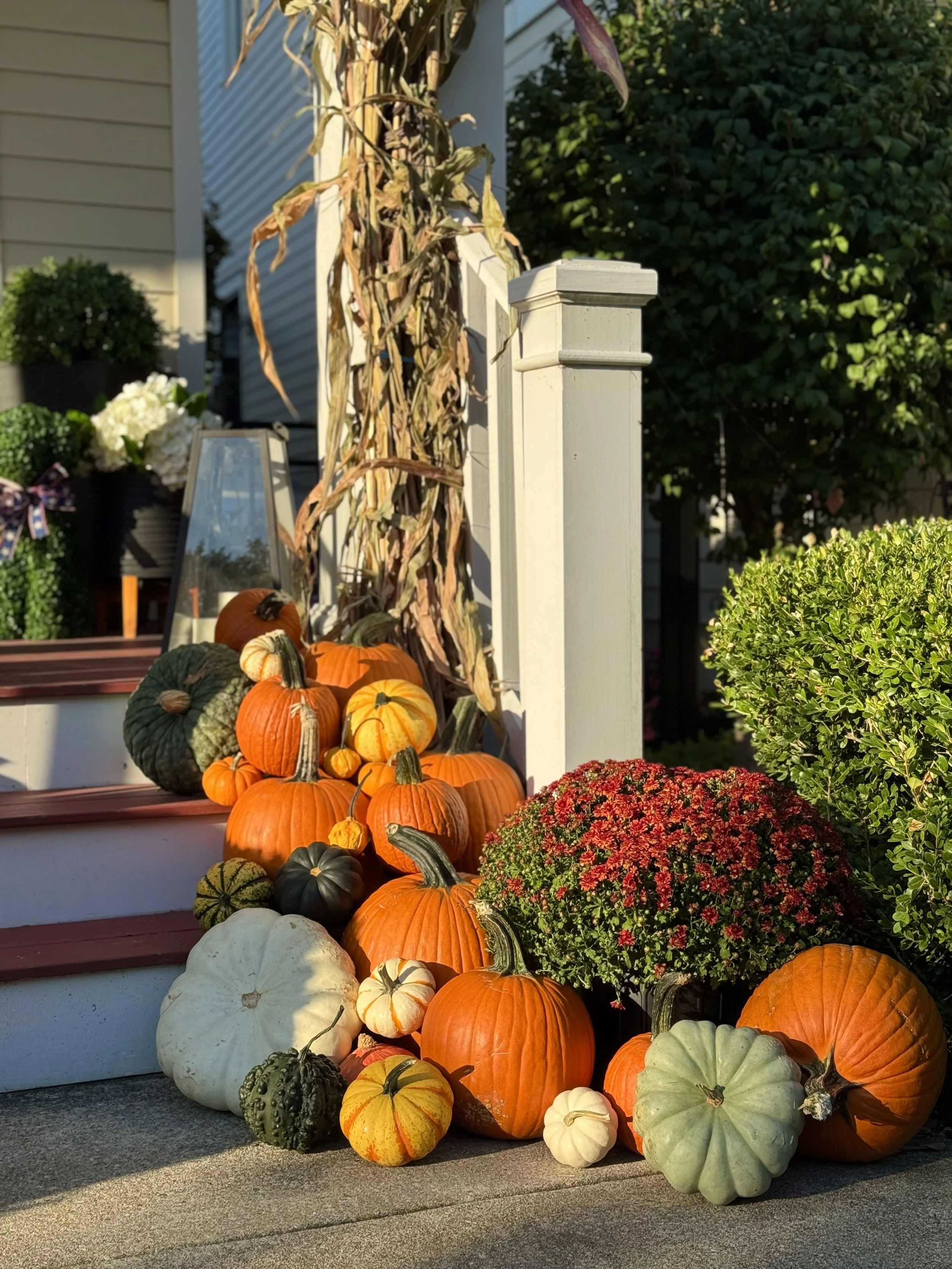 A display of various pumpkins and gourds in autumn colors arranged on a porch step next to a white post and surrounded by green bushes and plants.