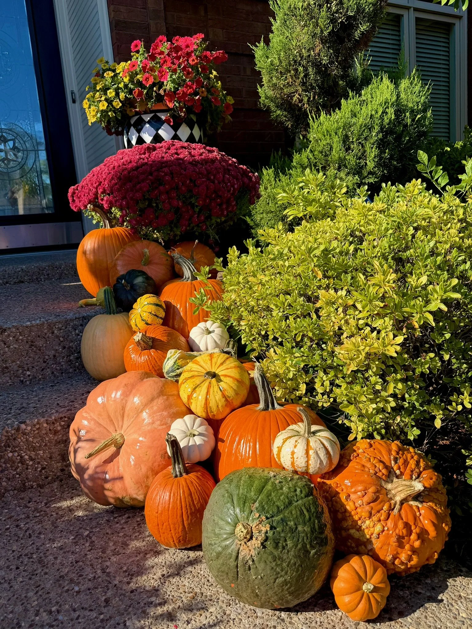 Pumpkin decorating service in Louisville KY