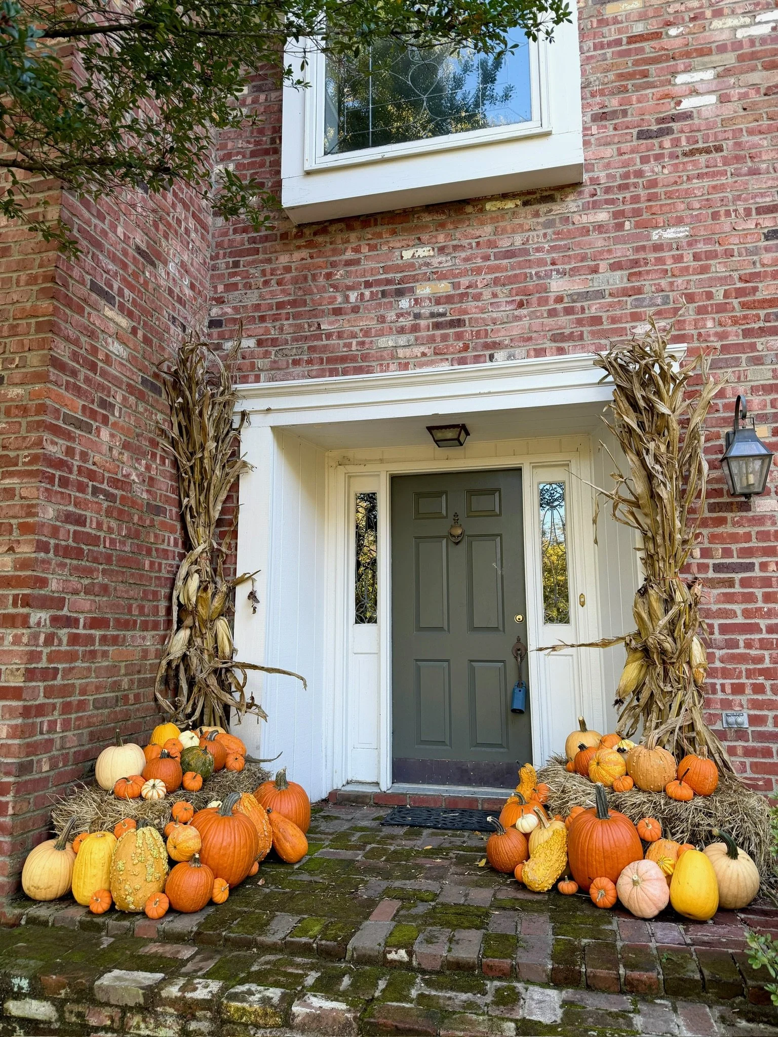 Elegant pumpkin porch design in Pewee Valley featuring specialty pumpkins and seasonal accents.