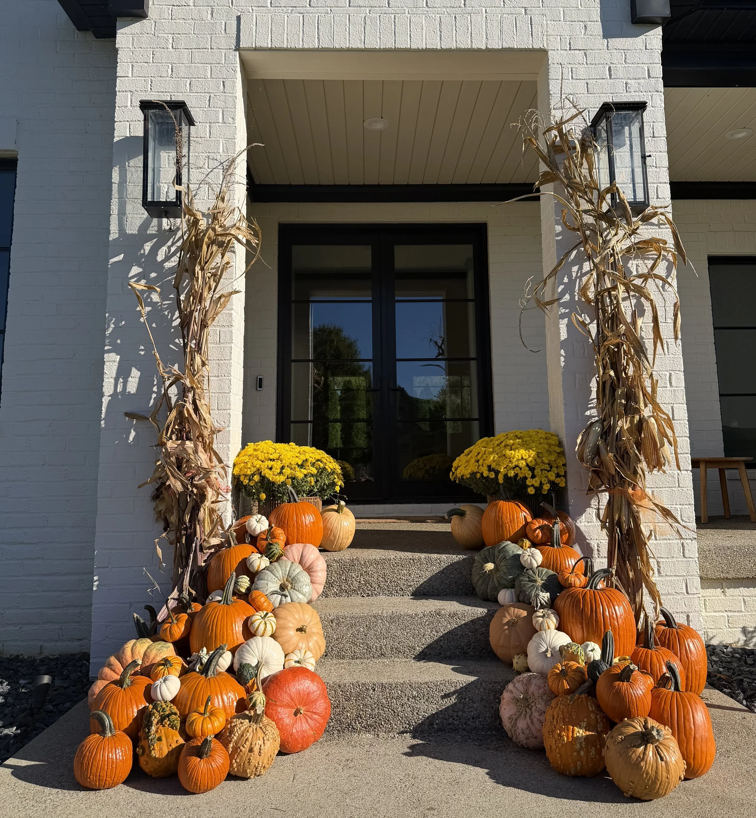 Jack ‘O Lantern Pumpkin Package