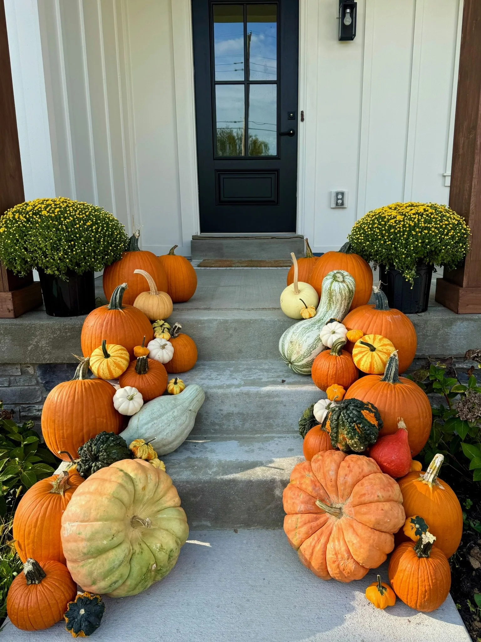 Pumpkin porch delivery Louisville KY