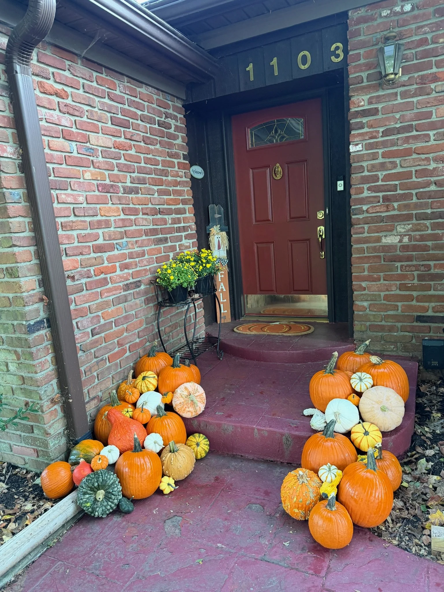 Pumpkin porch delivery Louisville KY