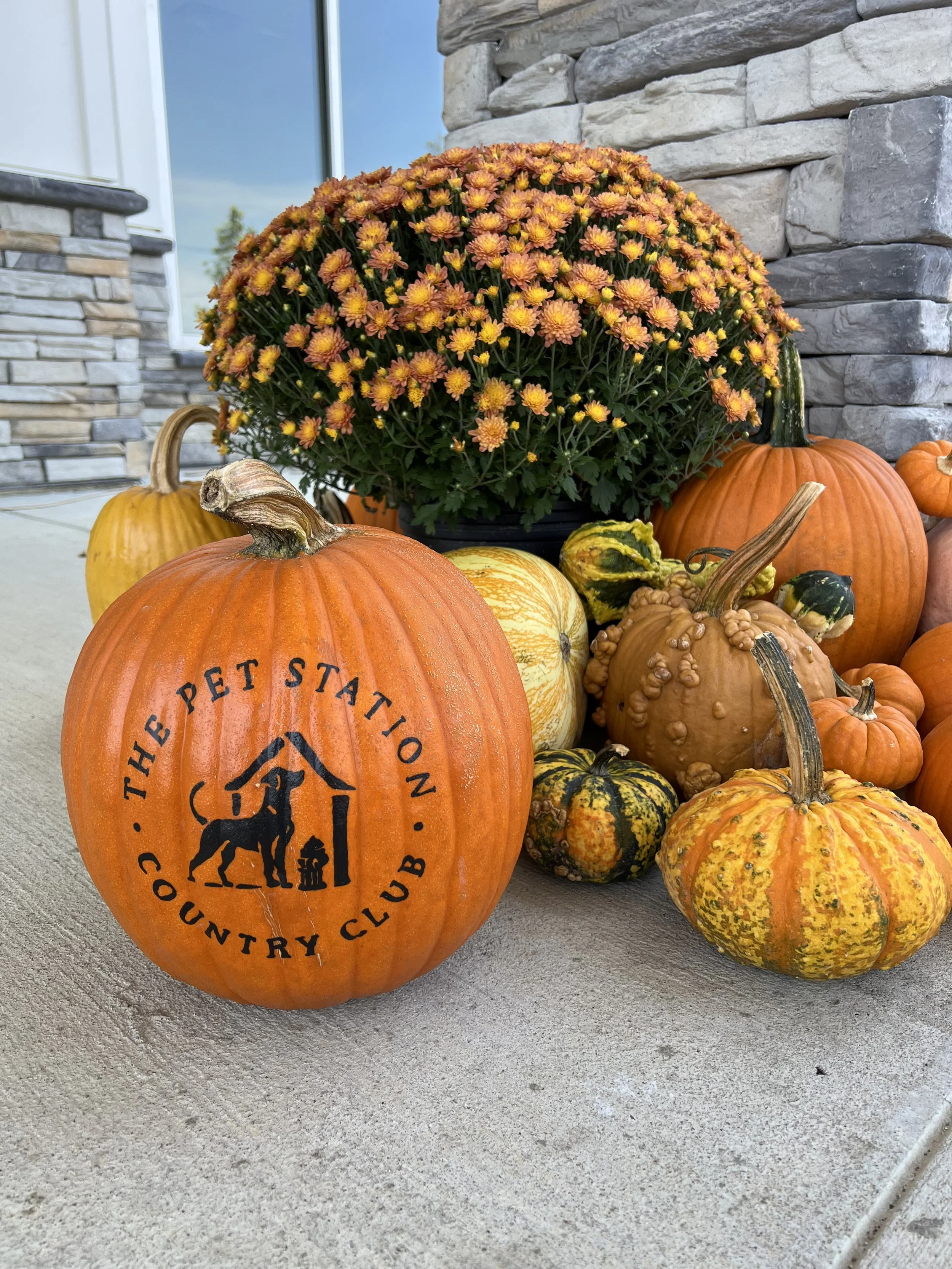Custom Painted Pumpkin Add-On