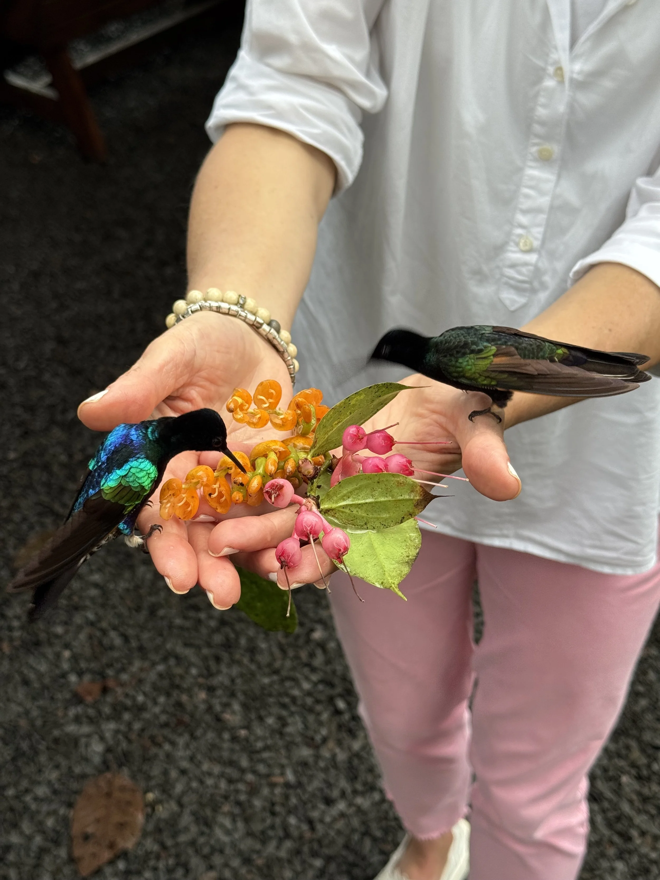 Person holding colorful birds and flowers in their hand, wearing pink pants, a white long-sleeve shirt, a beaded bracelet, and white shoes.