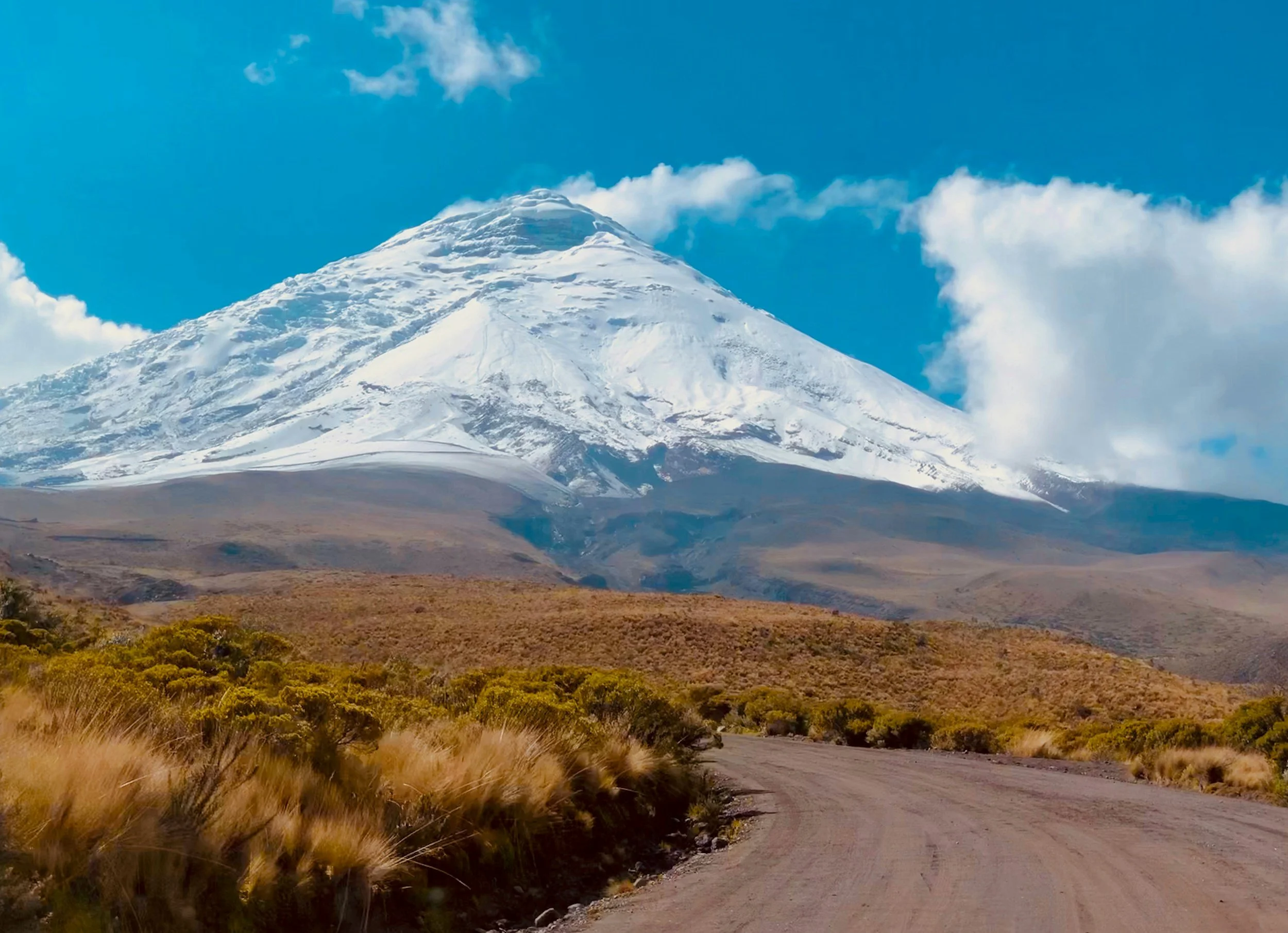 A snow-capped mountain, likely a volcano, under a blue sky with some clouds, with a dirt road and dry bushes in the foreground.