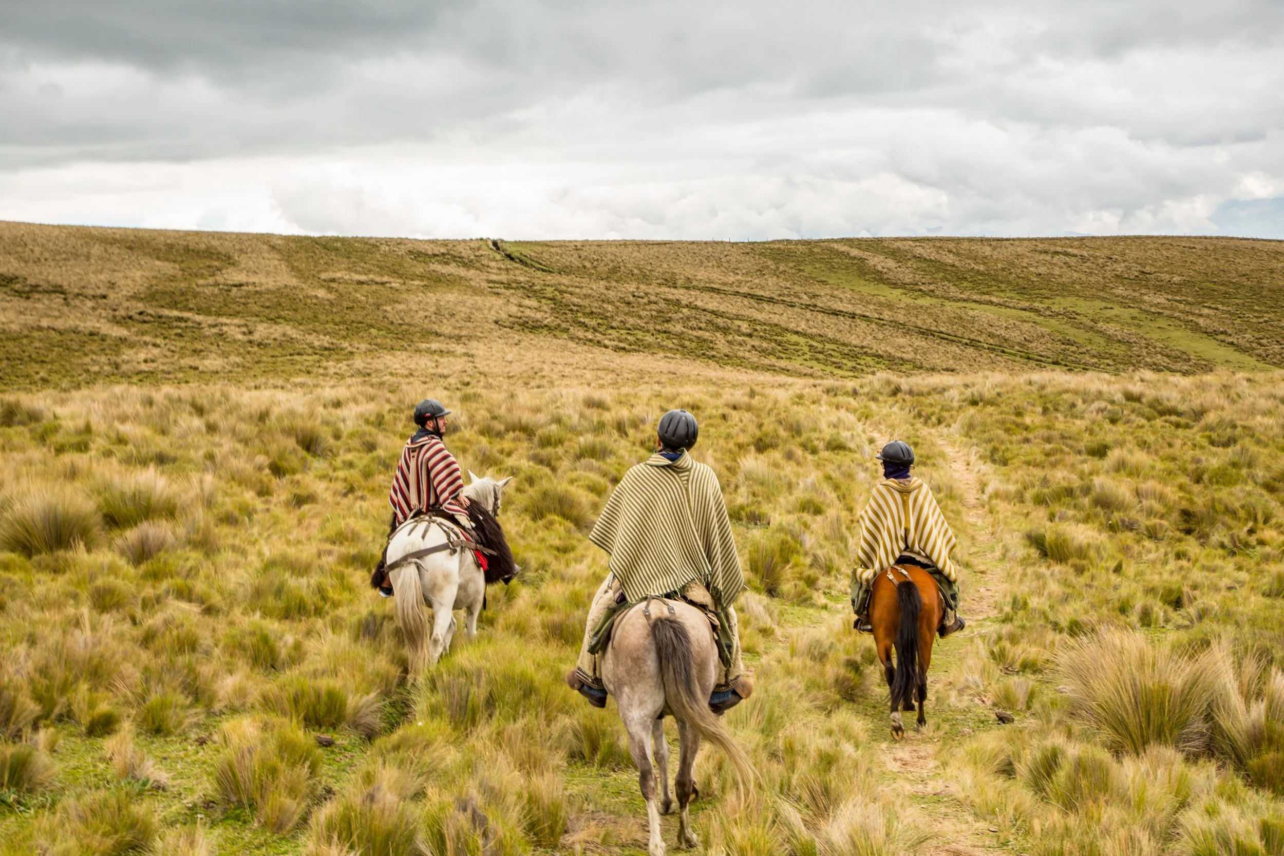 Three people riding horses through a grassy field on a cloudy day, wearing striped ponchos and helmets.
