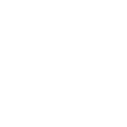 Digitale-Sicherheit-Icon