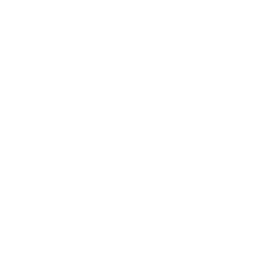 Smartphone-Icon