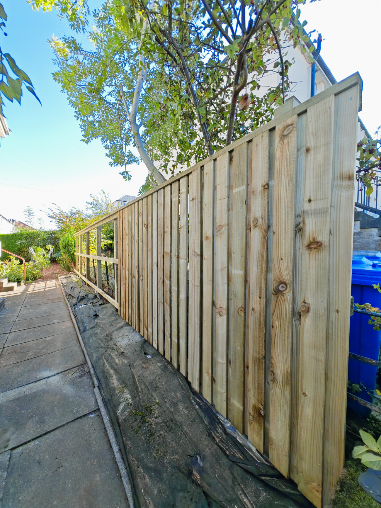 billy fence--during.png