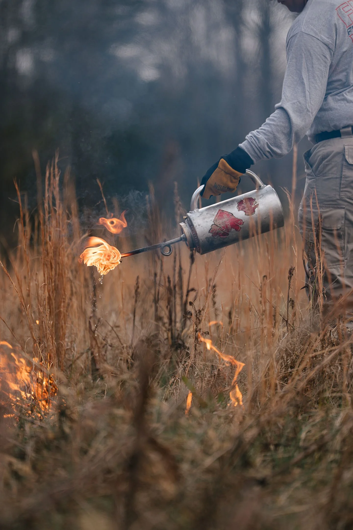 When should customers apply for a forestry grant?