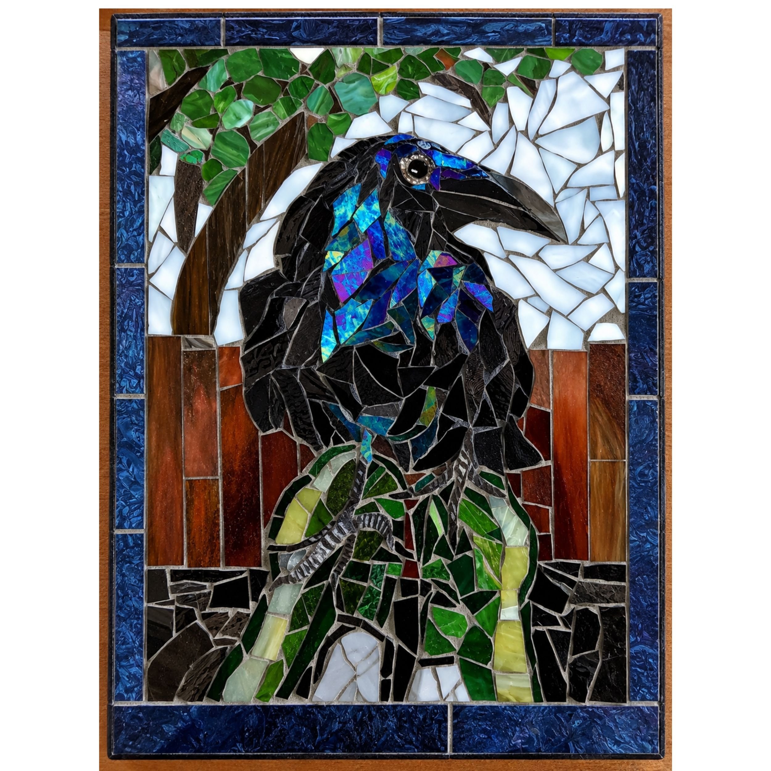 Raven 8 x 10"