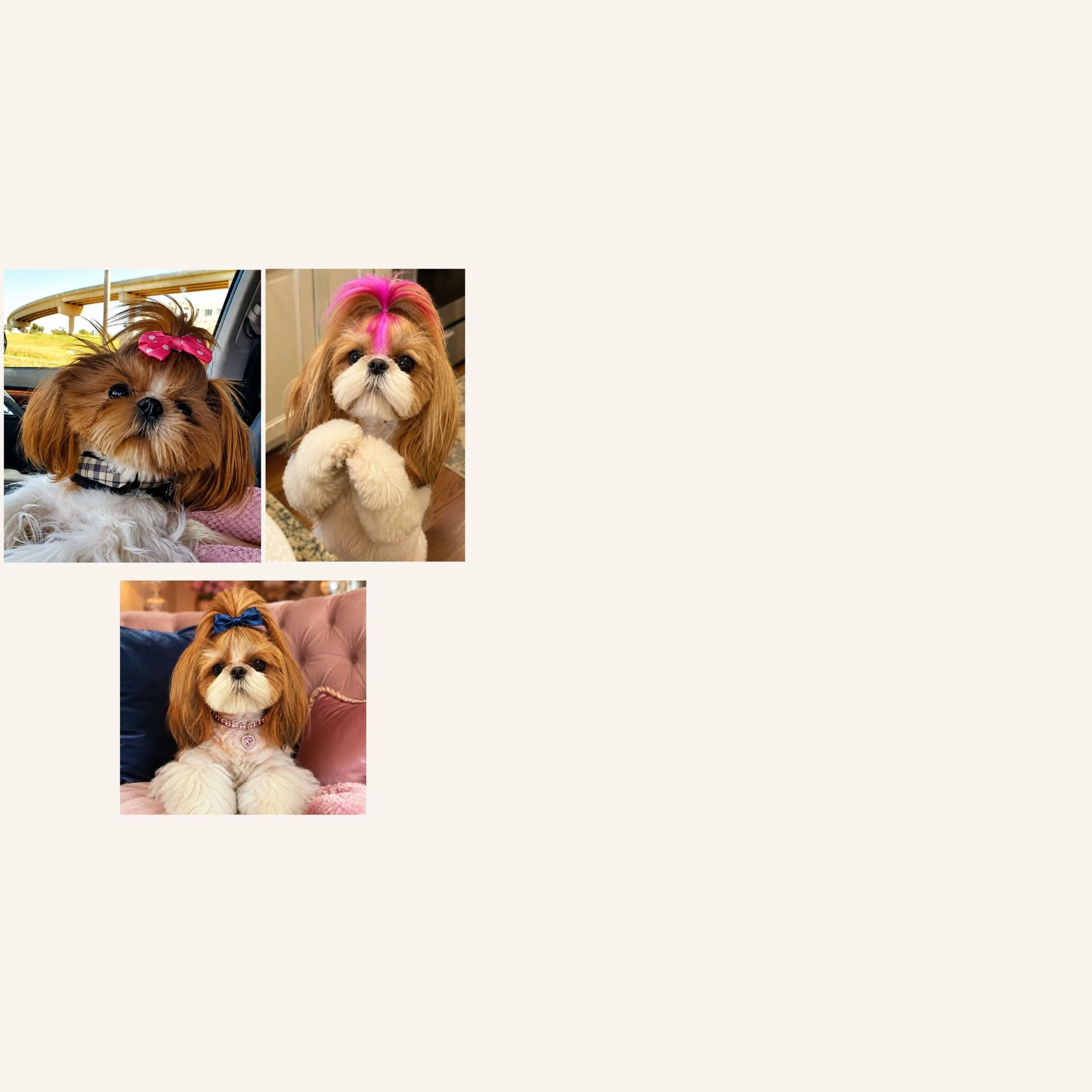custom-dog-mosaic-royal-shihtzu-multiple-reference.jpg.jpg