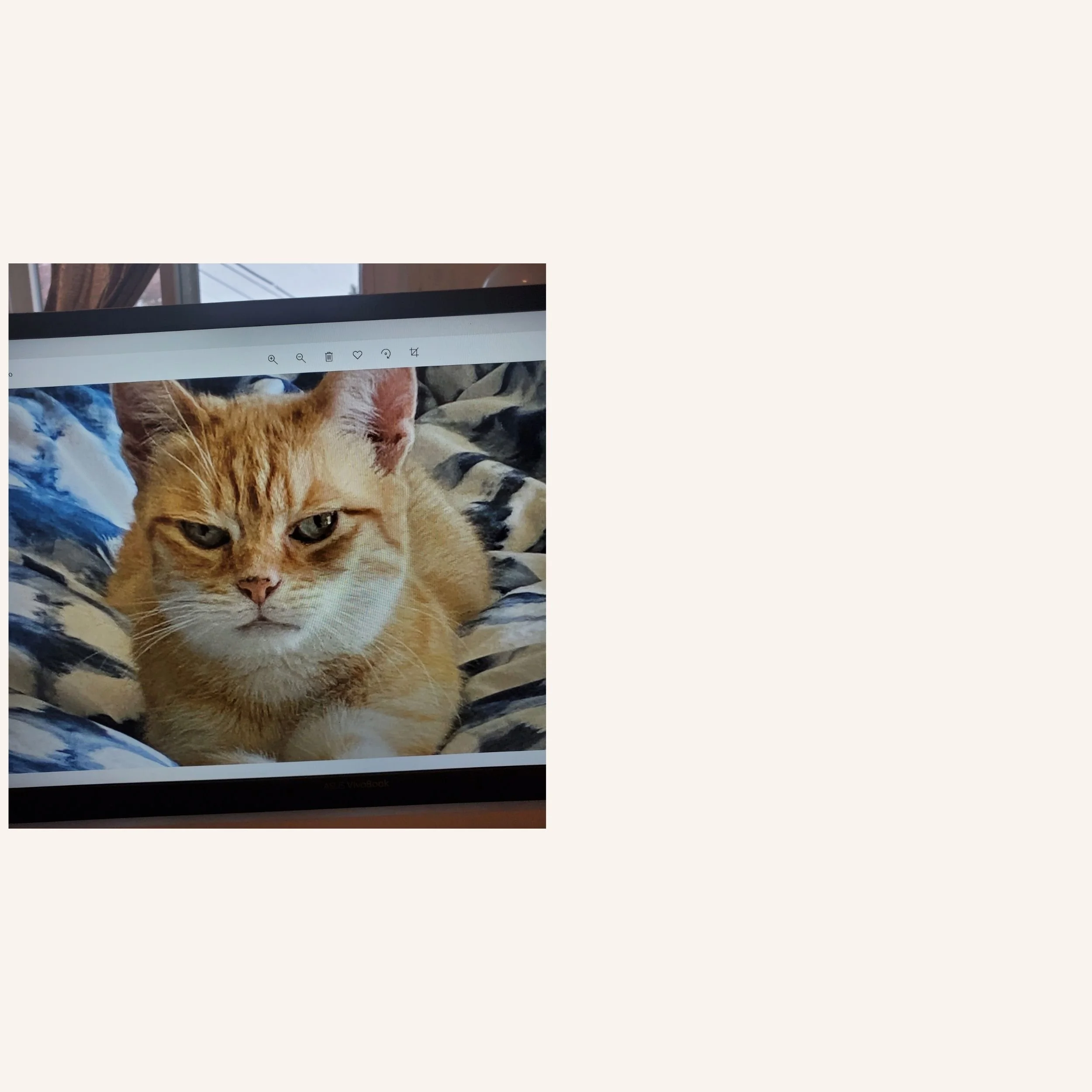 custom-cat-mosaic-yellow-tabby-on-bed-reference.jpg
