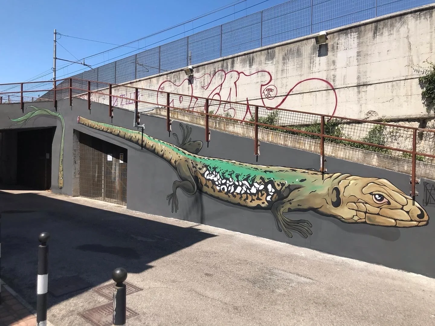 Murale di un coccodrillo dipinta su un muro in una strada urbana, con dettagli realistici e colori vivaci.