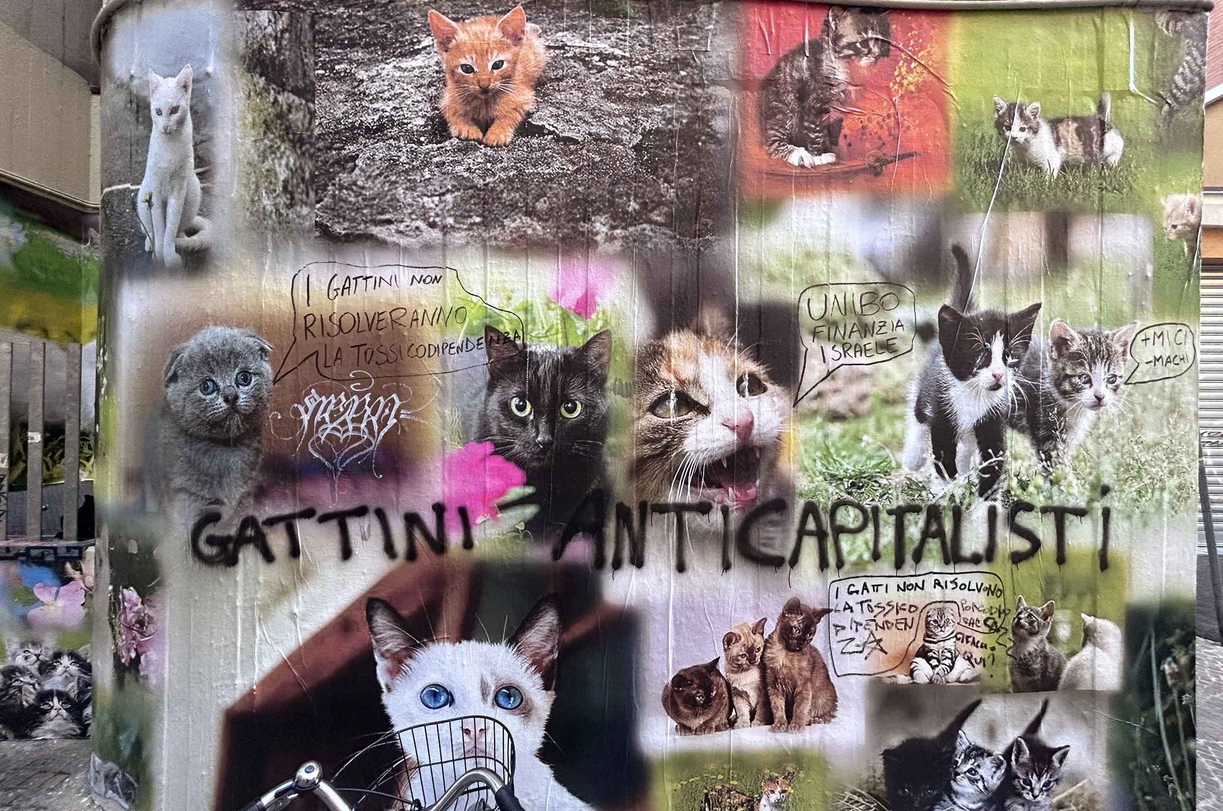 Mural con molti gatti, alcuni con scritte in italiano come 'I gattini non risolveranno la crisi', evidenziando temi di tutela e diritti degli animali.