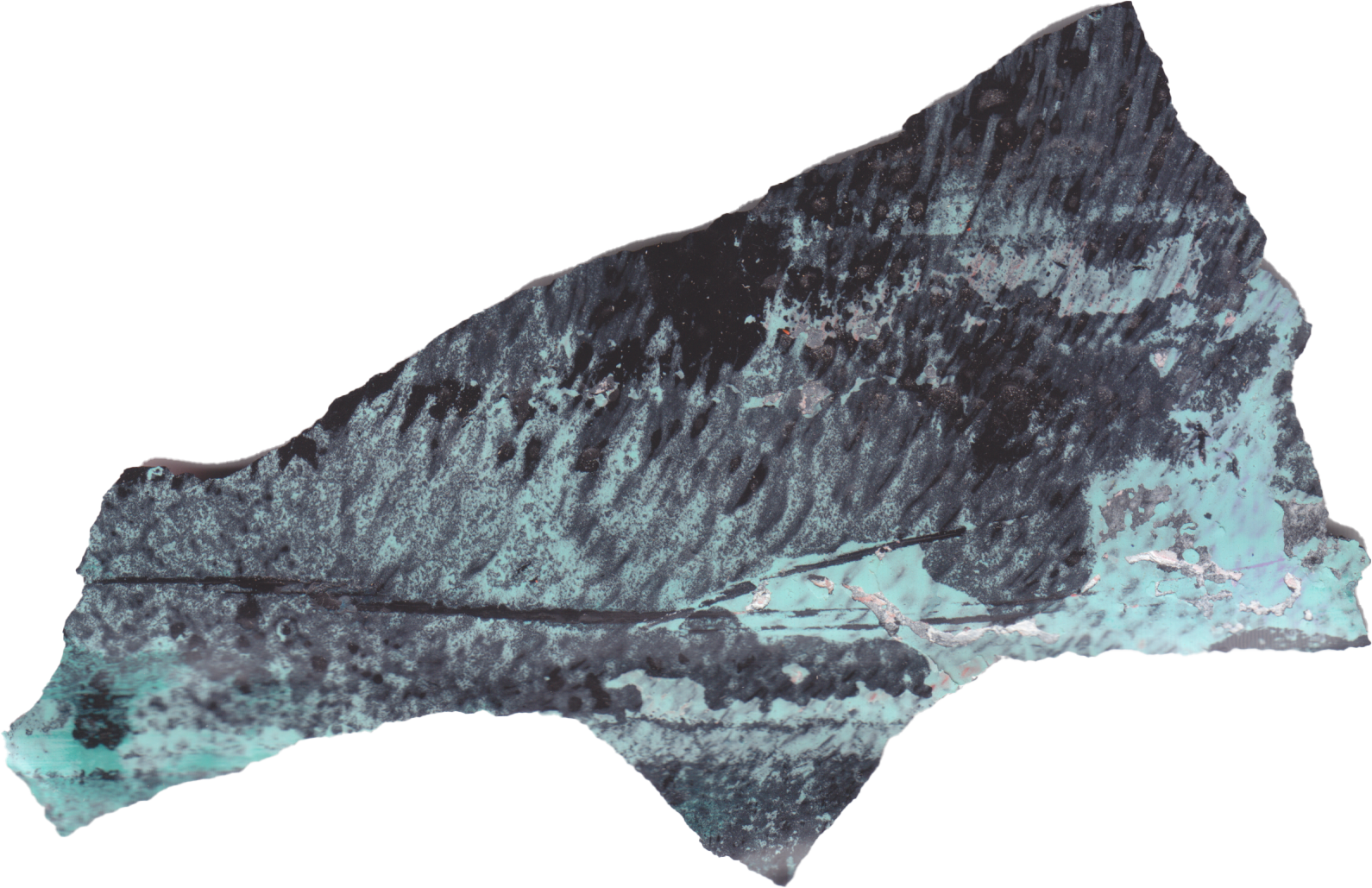 Roccia con struttura irregolare e superficie ruvida, colori principali grigio e nero con alcune macchie più chiare.