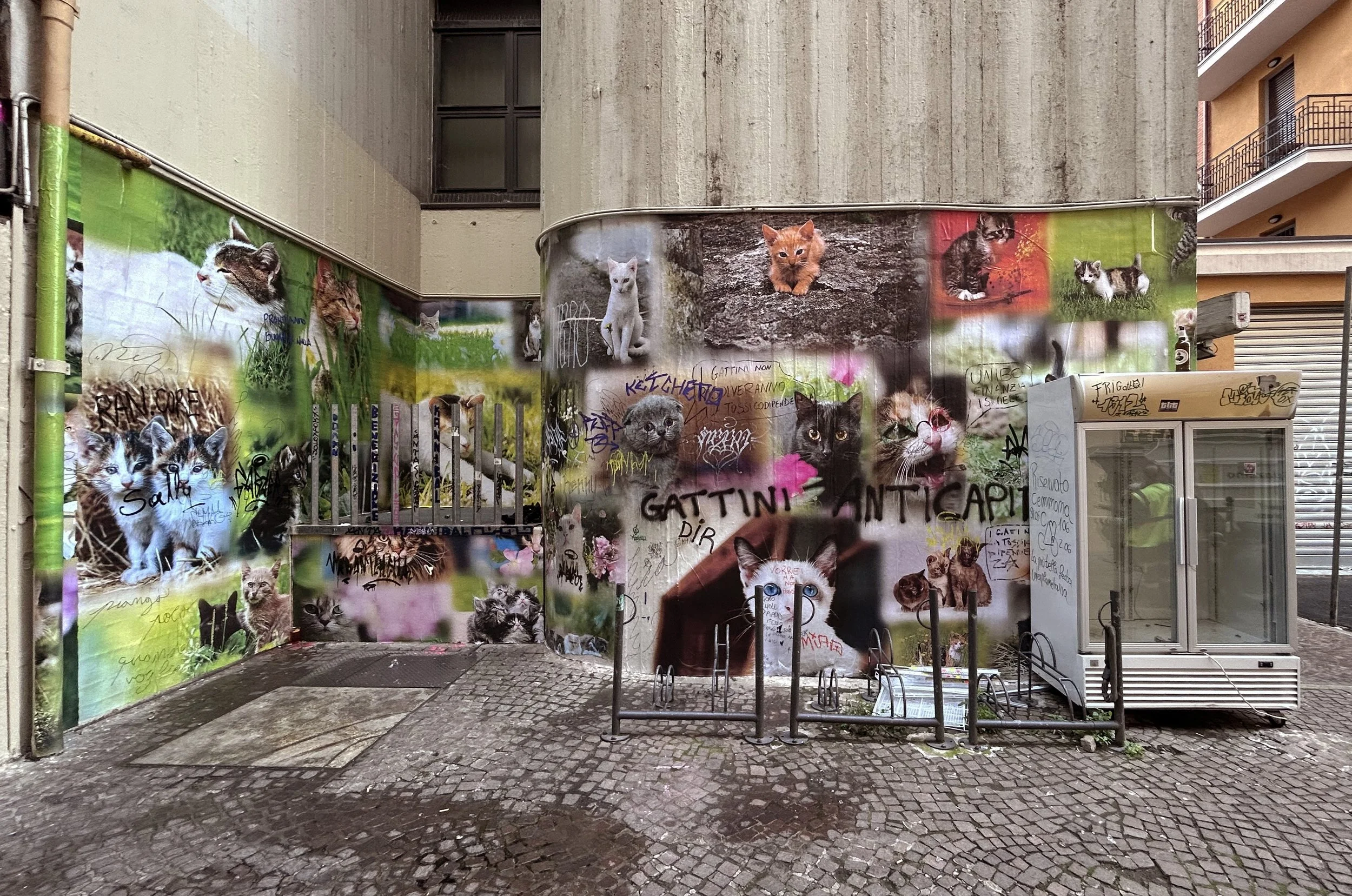 Una stazione di autobus coperta decorata con poster di gatti di vari colori e razze, con scritte e graffiti, su un muro di cemento in una zona urbana.