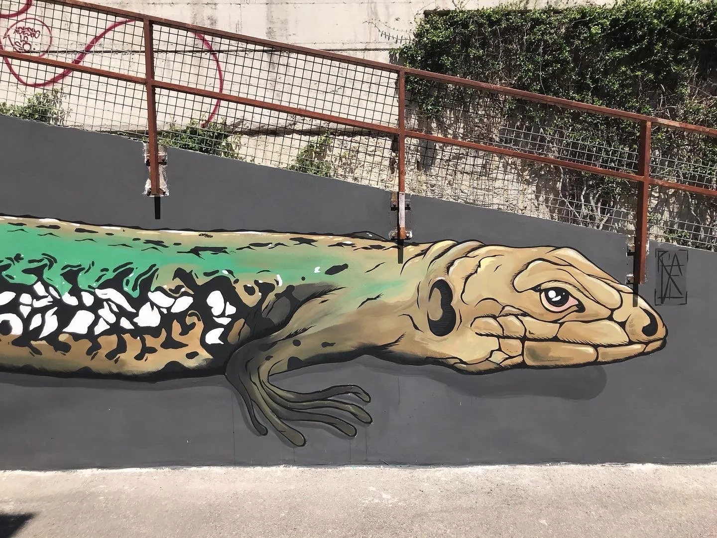 Murale con un'illustrazione di una tartaruga gigante stilizzata, con il corpo decorato da pattern bianchi e neri, e la testa di tartaruga con dettagli realistici, dipinta su un muro grigio.