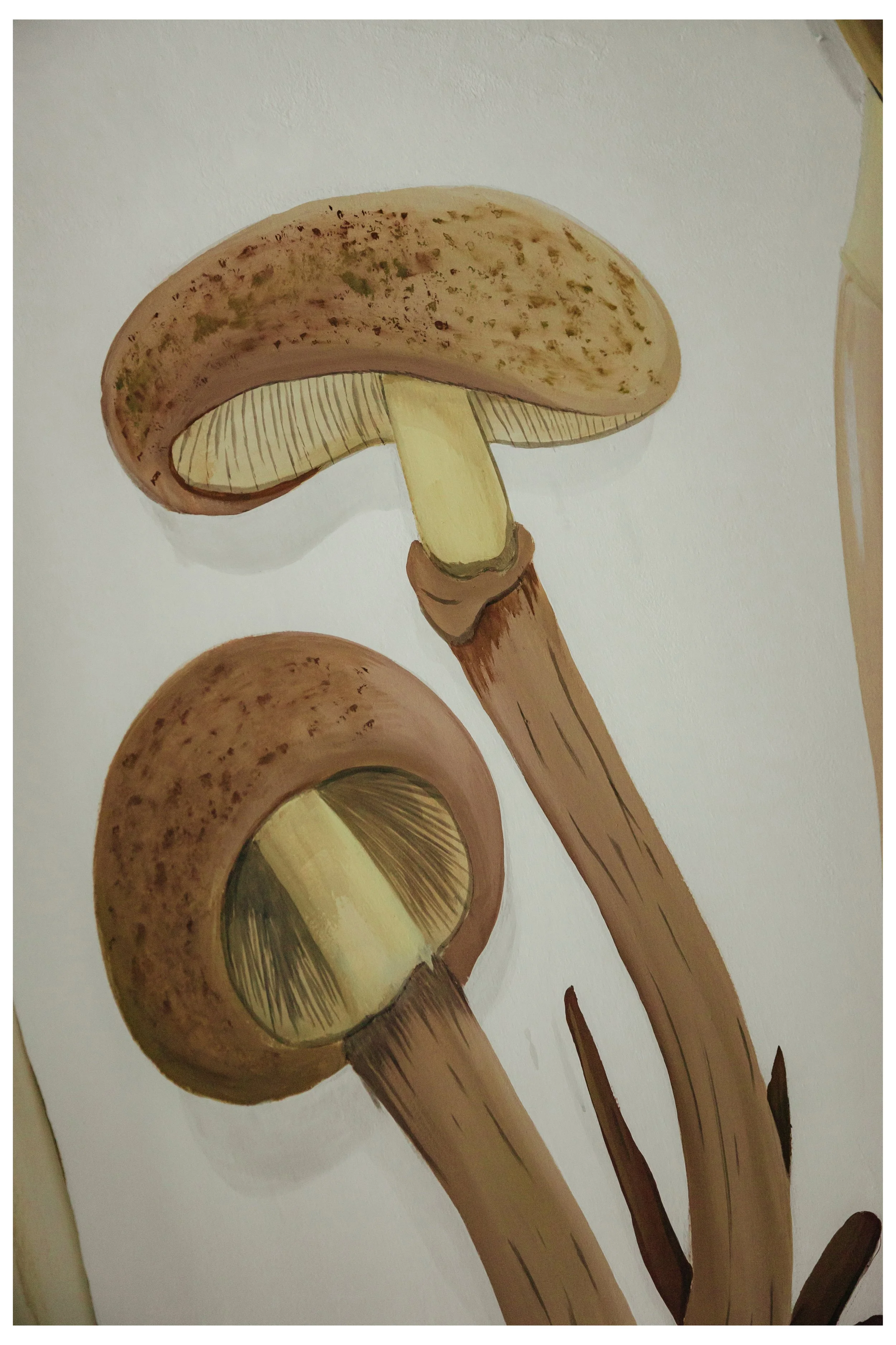 Illustrazione di funghi con cappello marrone, superficie punteggiata, e gambo giallo chiaro, disegnata con uno stile artistico.
