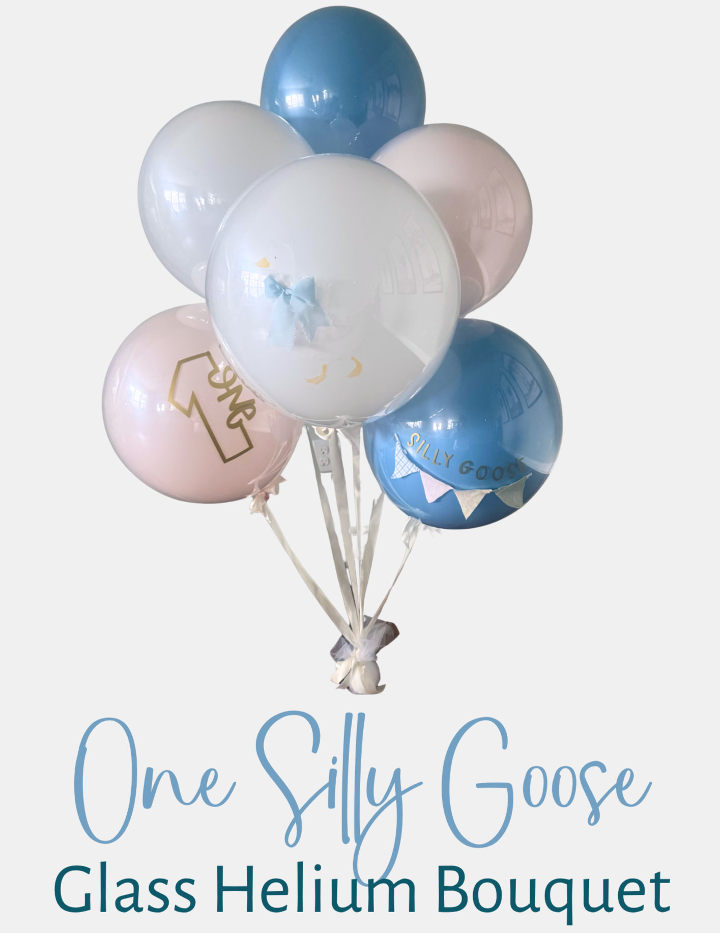 Silly Goose
