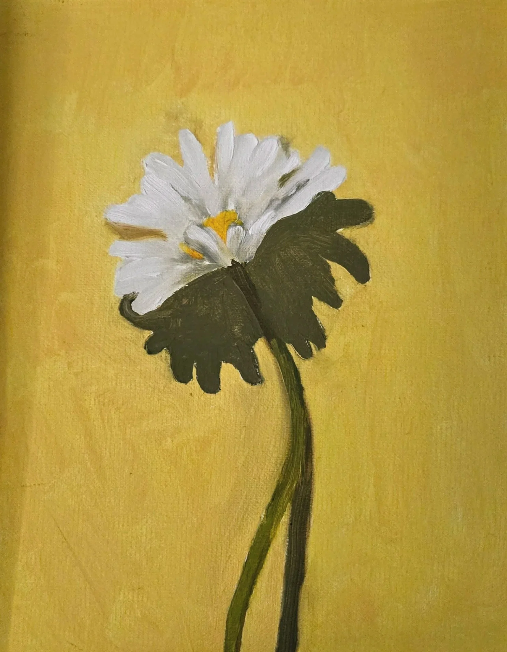 "Daisy"

Oil on Linen Panel

 A simple study of a daisy picked from my yard. Sometimes, it's about finding the beauty in the mundane.