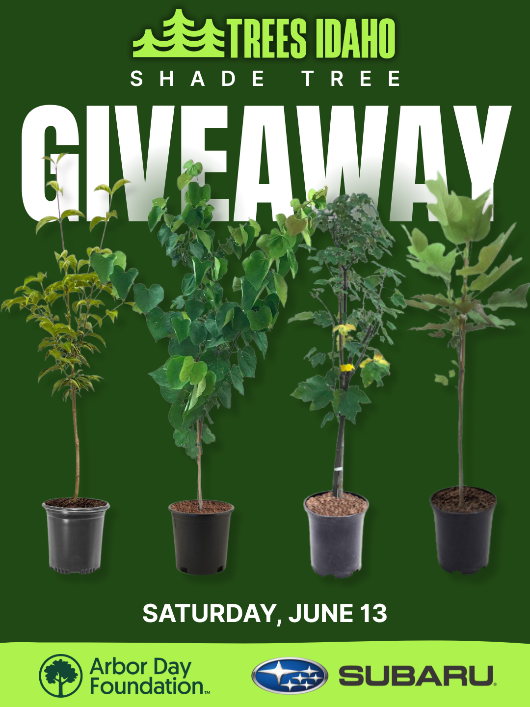 700-tree giveaway at BFM