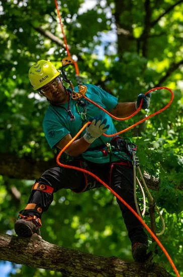 PNW-ISA Annual Training Conference & Tree Climbing Competition