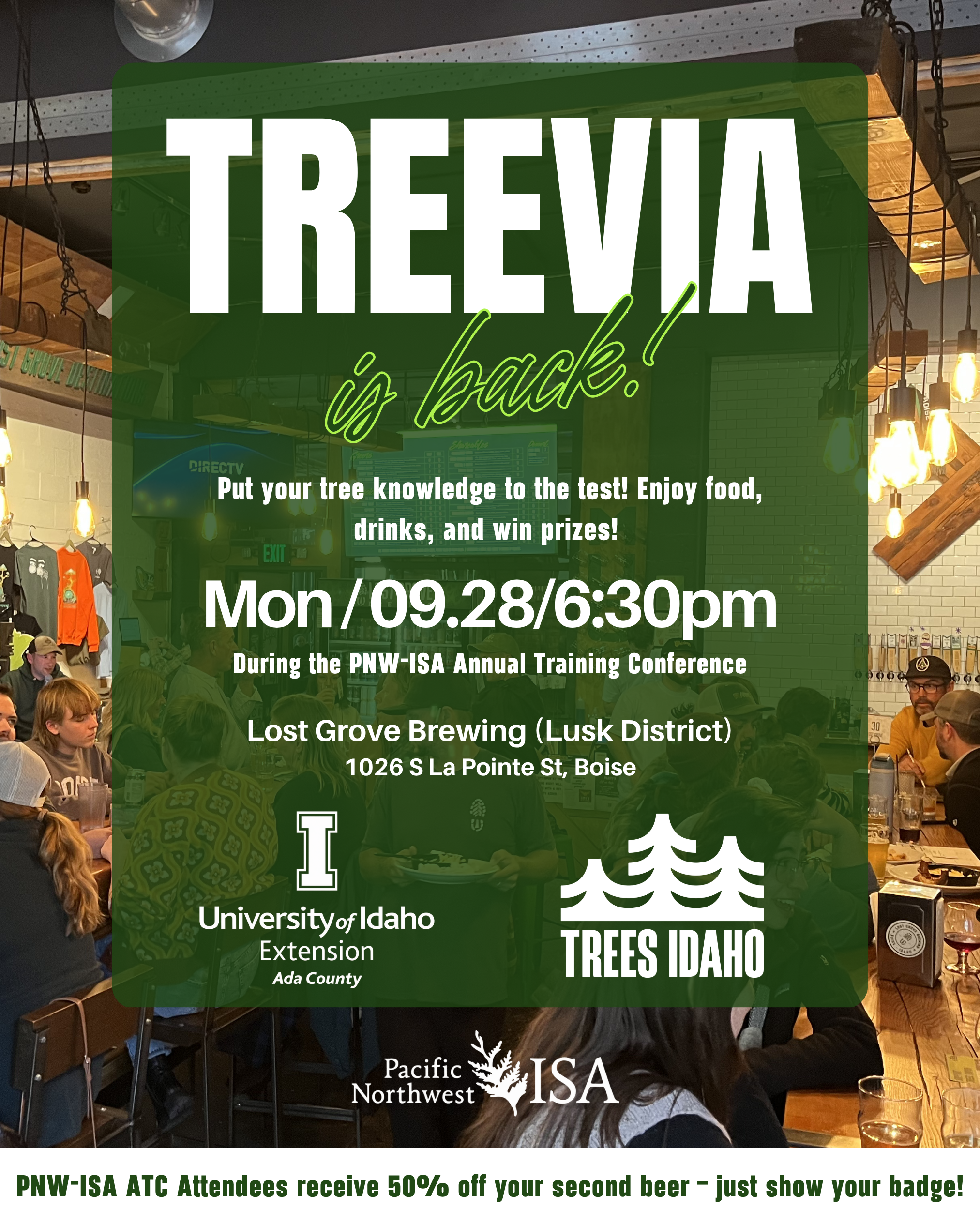 TREEvia Night
