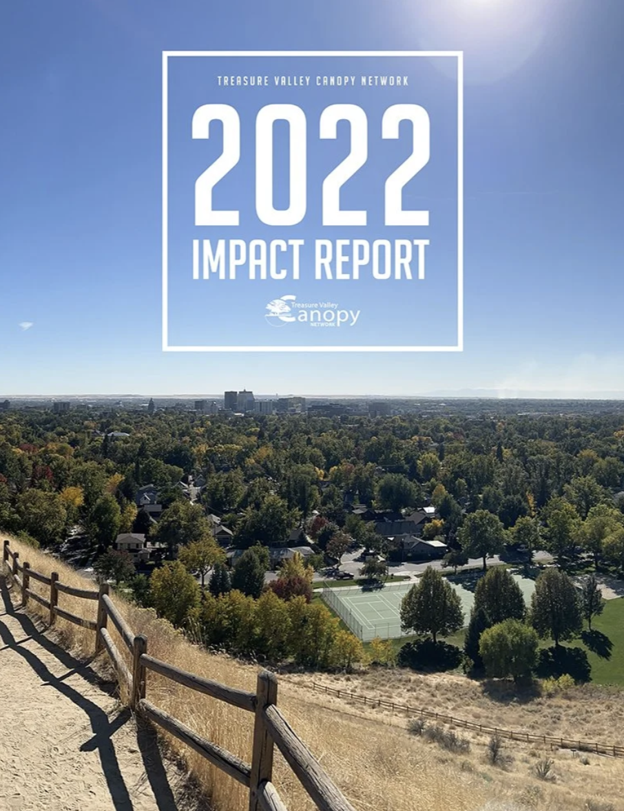 A scenic view from a hill showing a neighborhood with trees, a tennis court, and a city skyline in the distance under a clear blue sky, with a wooden fence in the foreground. Part of the Treasure Valley Canopy Network 2022 Impact Report