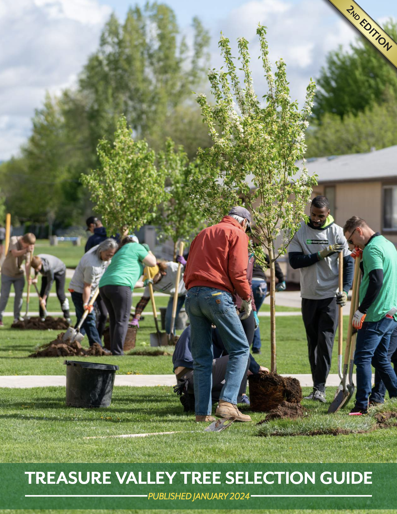 Group of volunteers planting trees in a park on a sunny day.