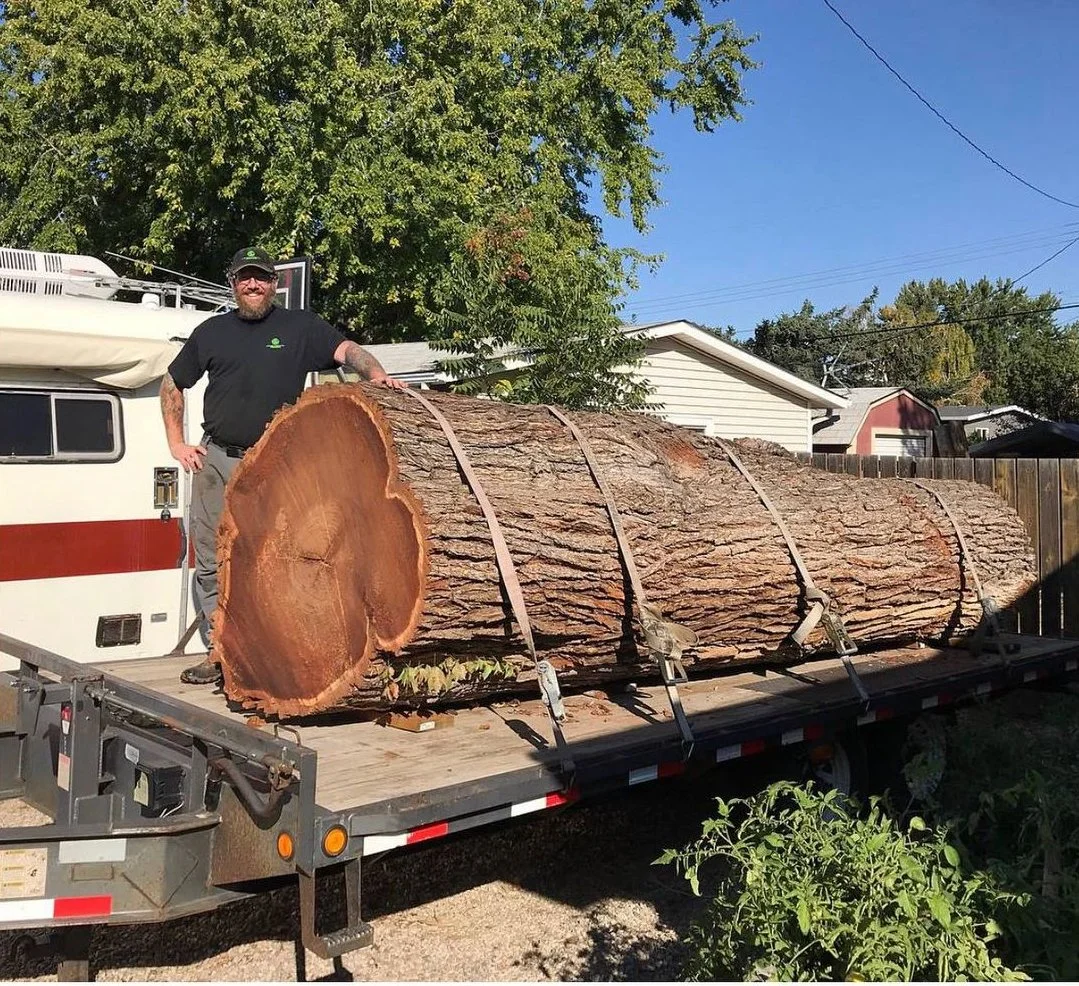 A man standing on a flatbed trailer next to a large cut tree trunk secured with straps, with a house, trees, and a clear blue sky in the background.