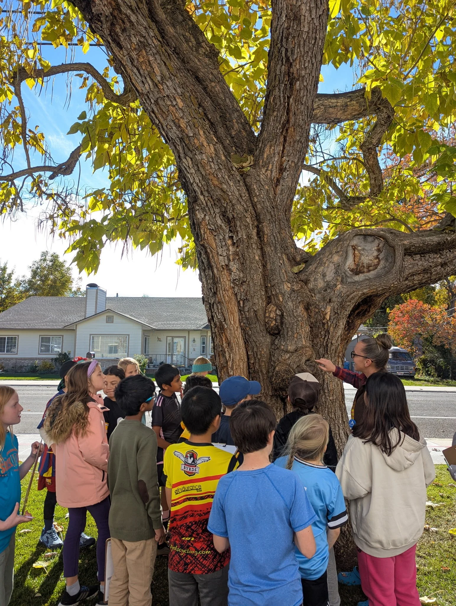 A group of children gathered around a large tree, with a woman explaining something to them. The background shows a residential neighborhood with houses and trees.