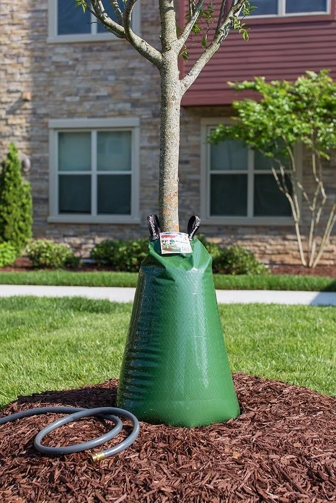 Tree Watering Bag