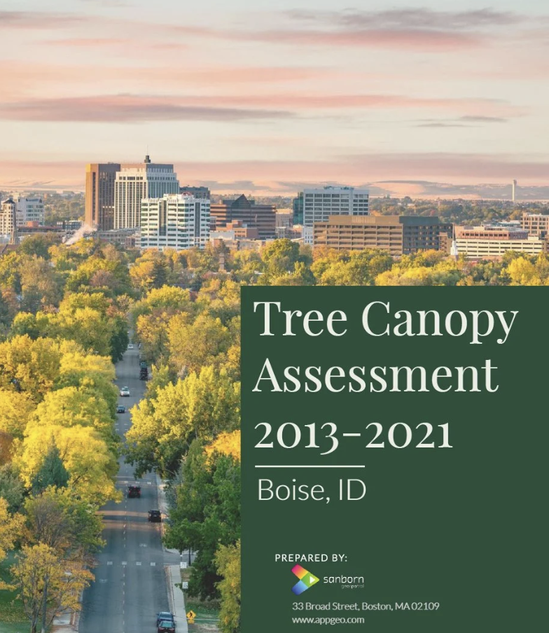Cover photo of a cityscape showing tall buildings and a tree-lined street during sunset, with a green section containing text about a tree canopy assessment in Boise, Idaho from 2013 to 2021.