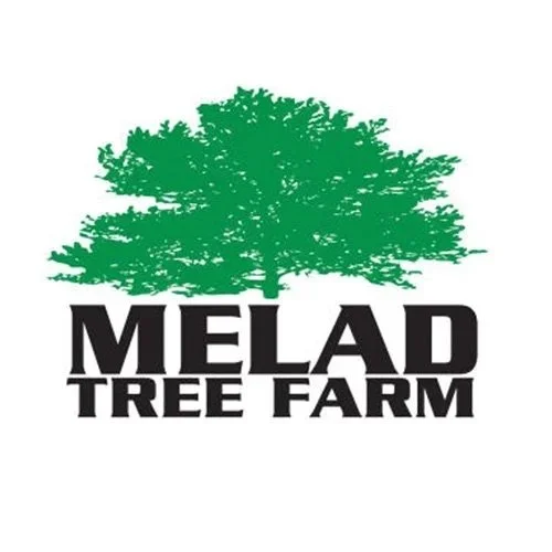 Logo of Melad Tree Farm featuring a green tree above the text.