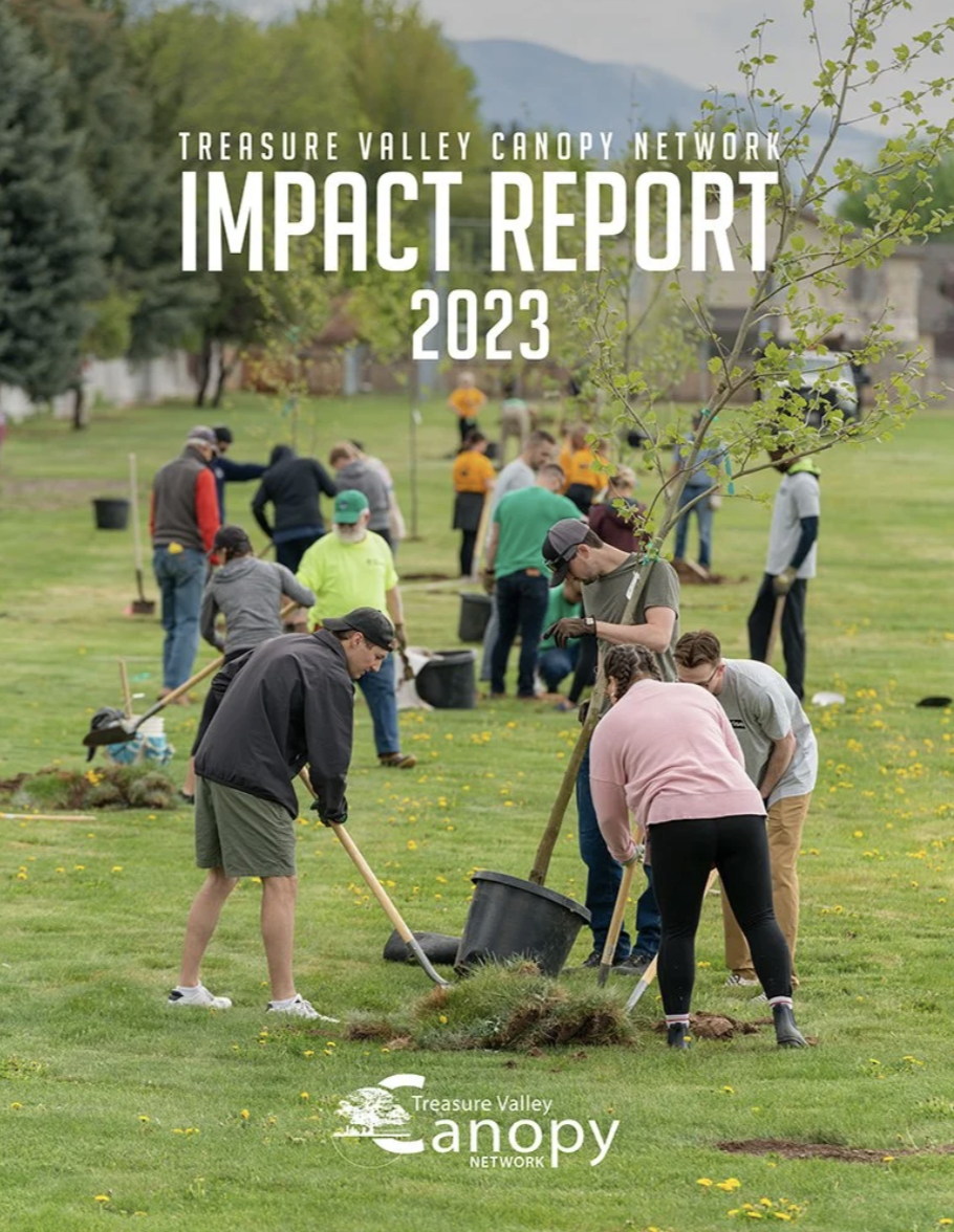 Group of people planting and watering trees in a park, participating in a community environmental project. Part of the Treasure Valley Canopy Network 2023 Impact Report